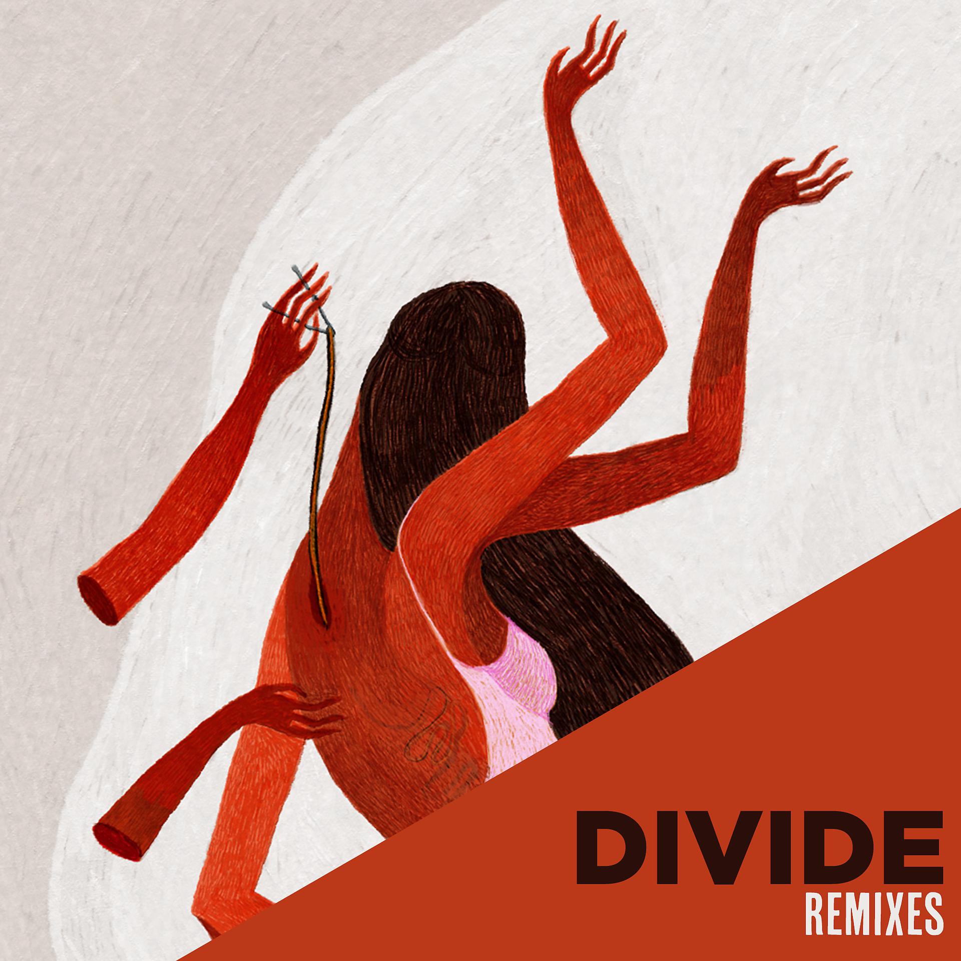 Постер альбома DIVIDE Remixes