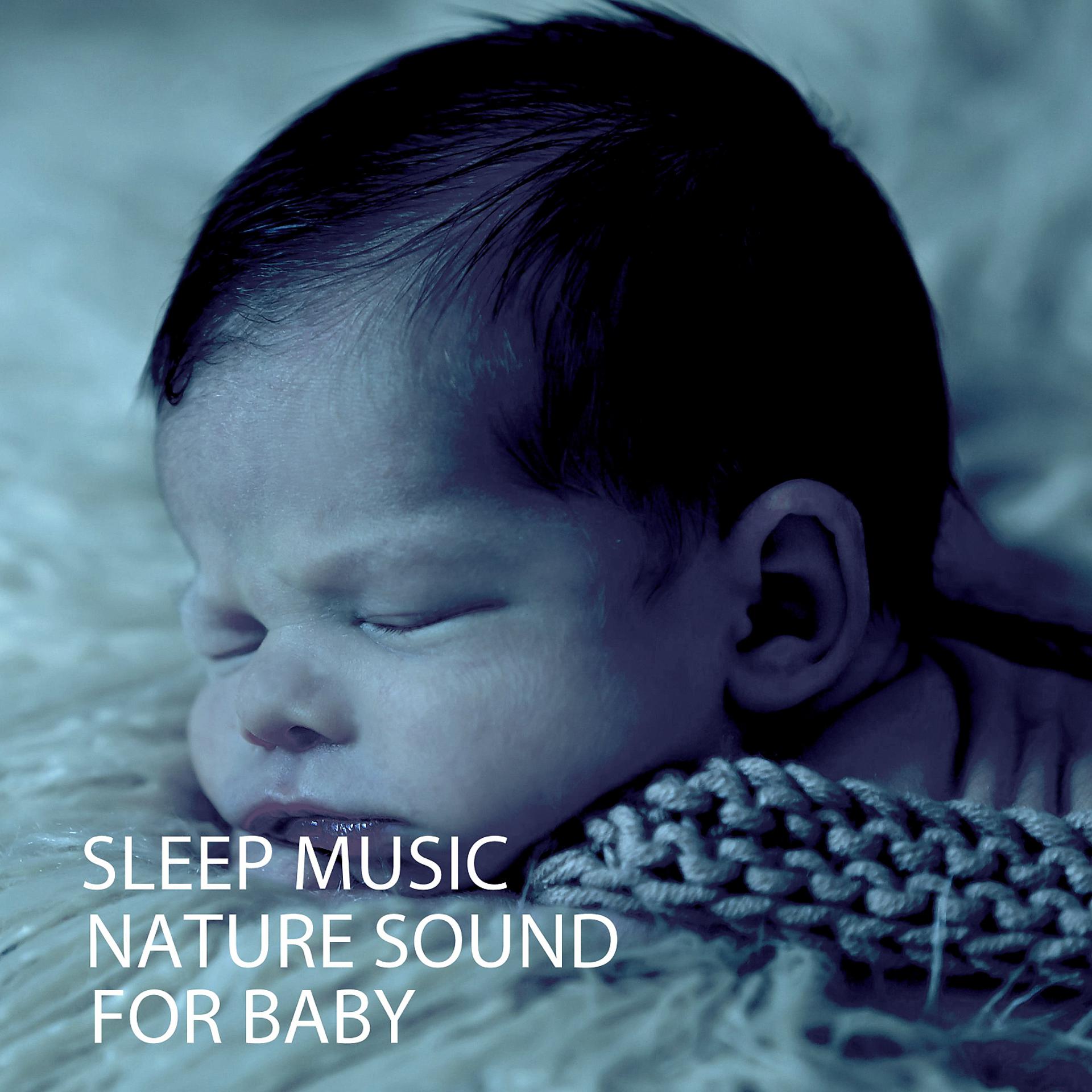 Постер альбома Sleep Music: Nature Sound For Baby