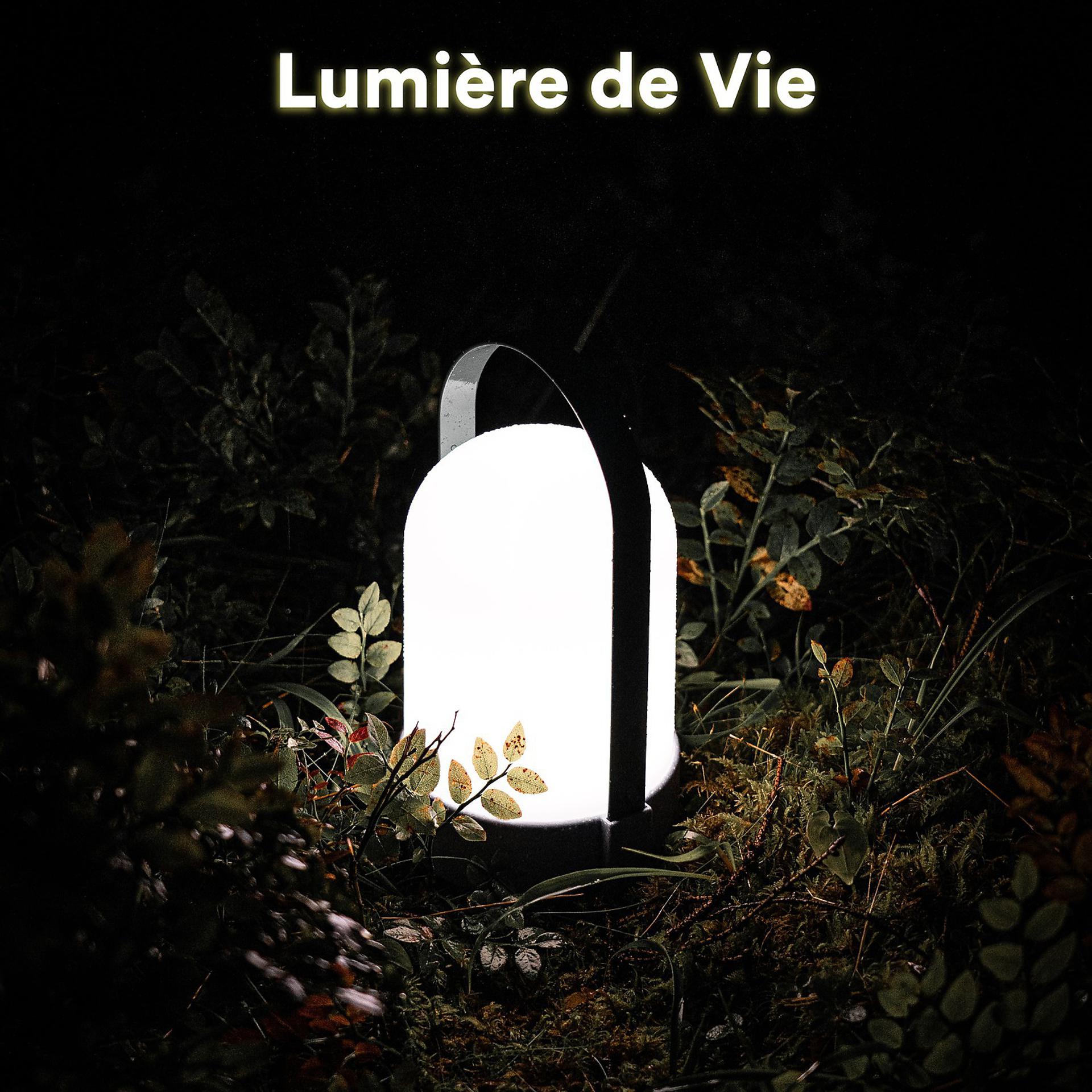 Постер альбома Lumière de vie
