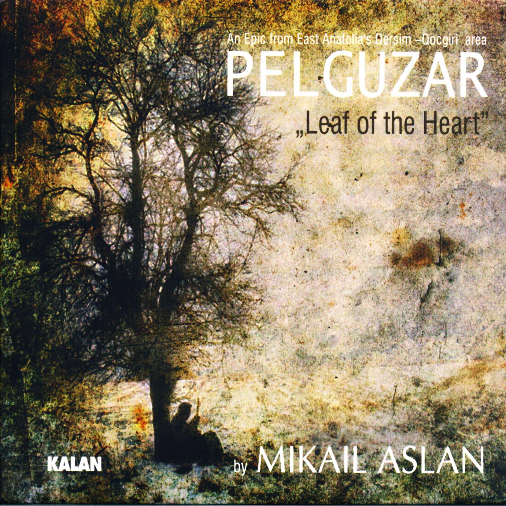 Постер альбома Pelguzar