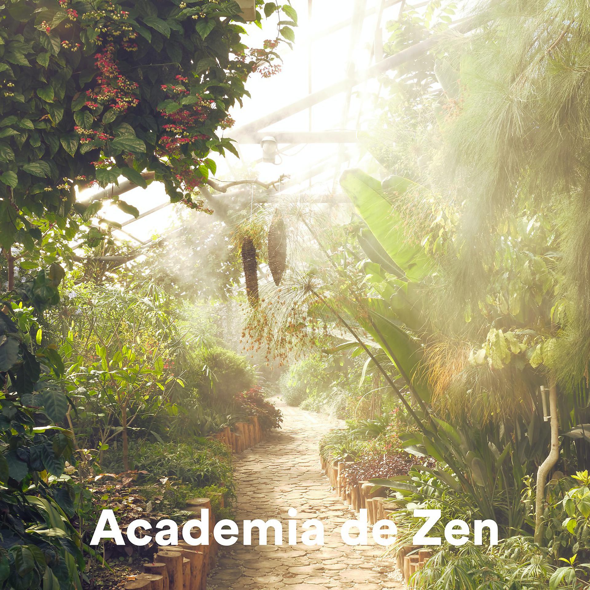 Постер альбома Academia de Zen