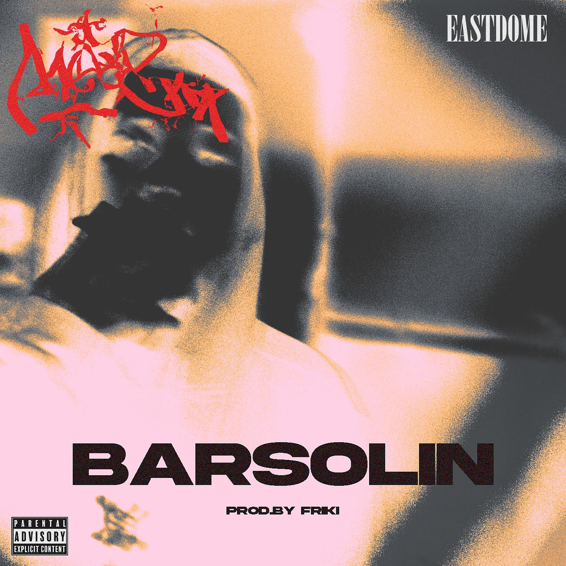 Постер альбома Barsolin