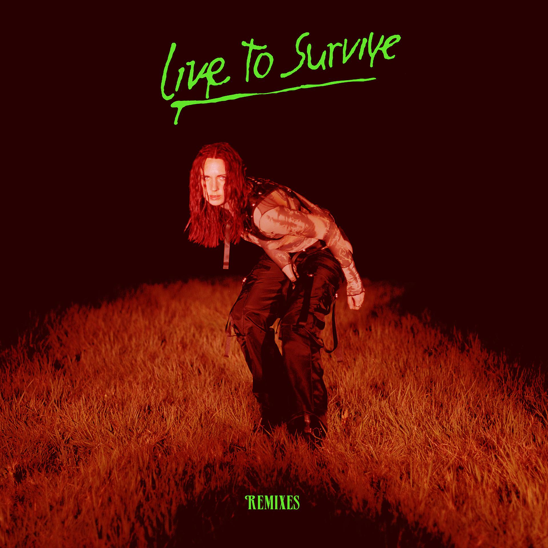 Постер альбома Live to Survive (Remixes)