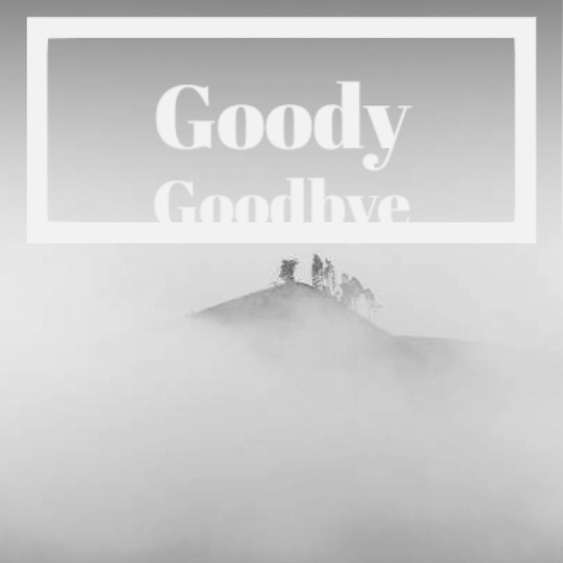 Постер альбома Goody Goodbye