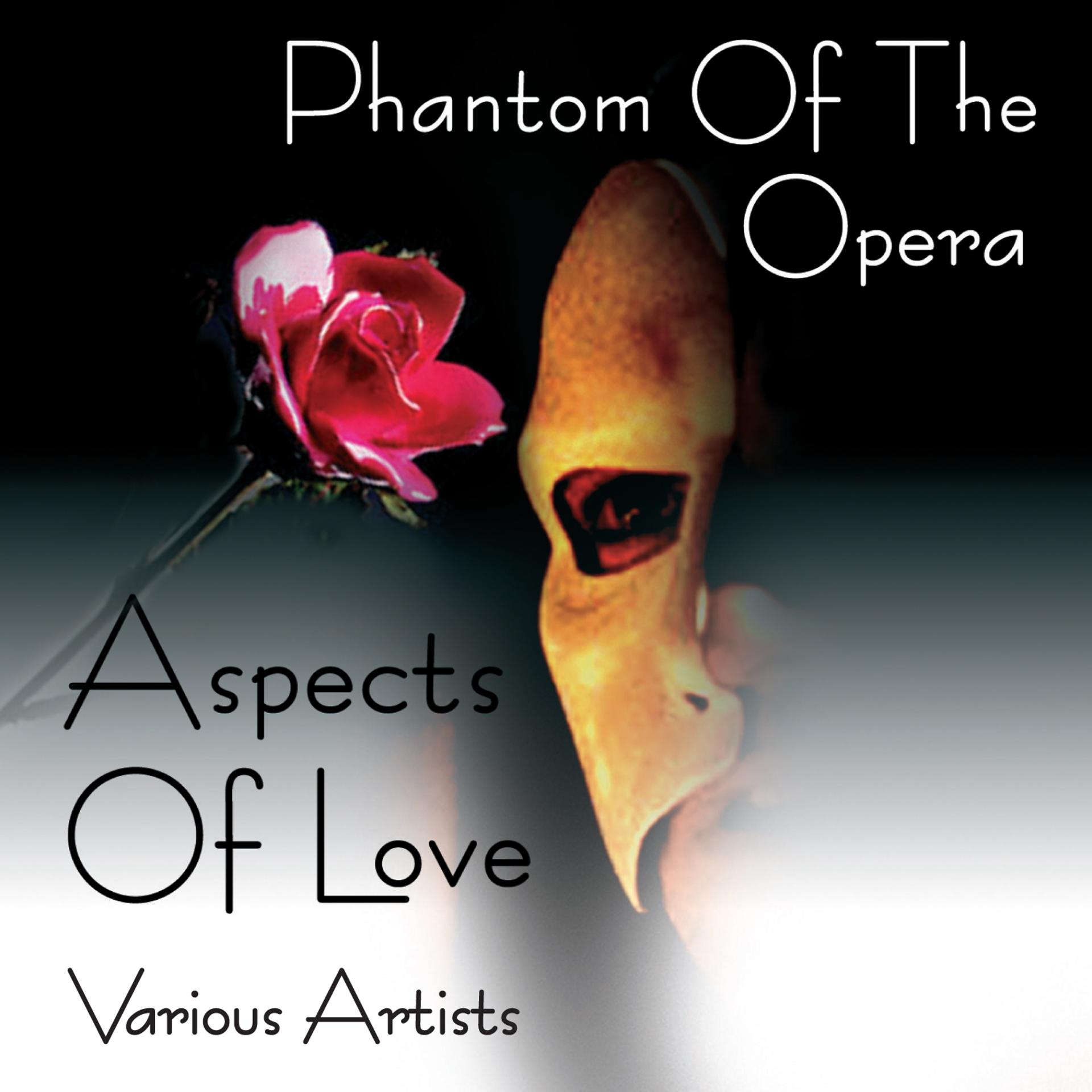Постер альбома Phantom of the Opera / Aspects of Love