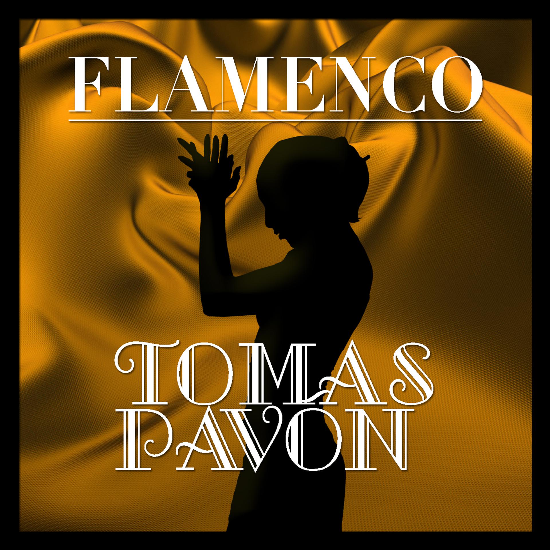 Постер альбома Flamenco: Tomás Pavón