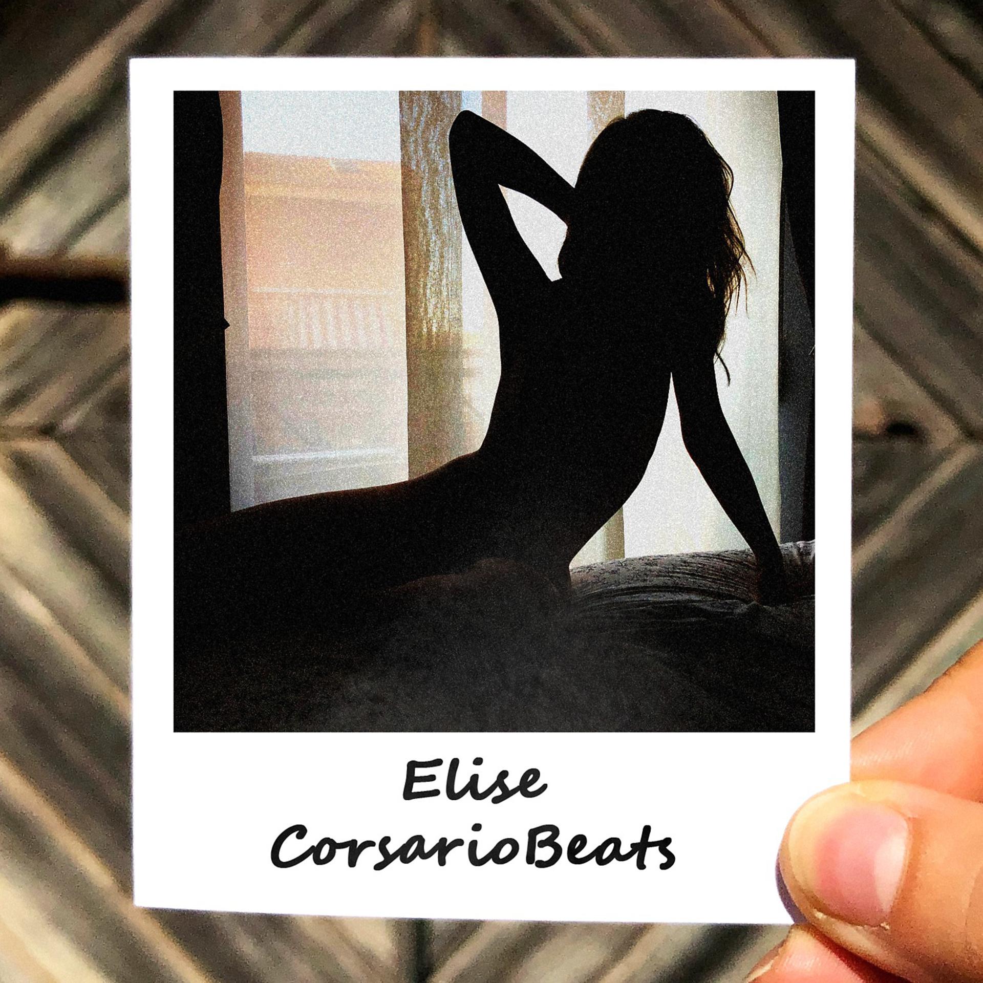 Постер альбома Elise