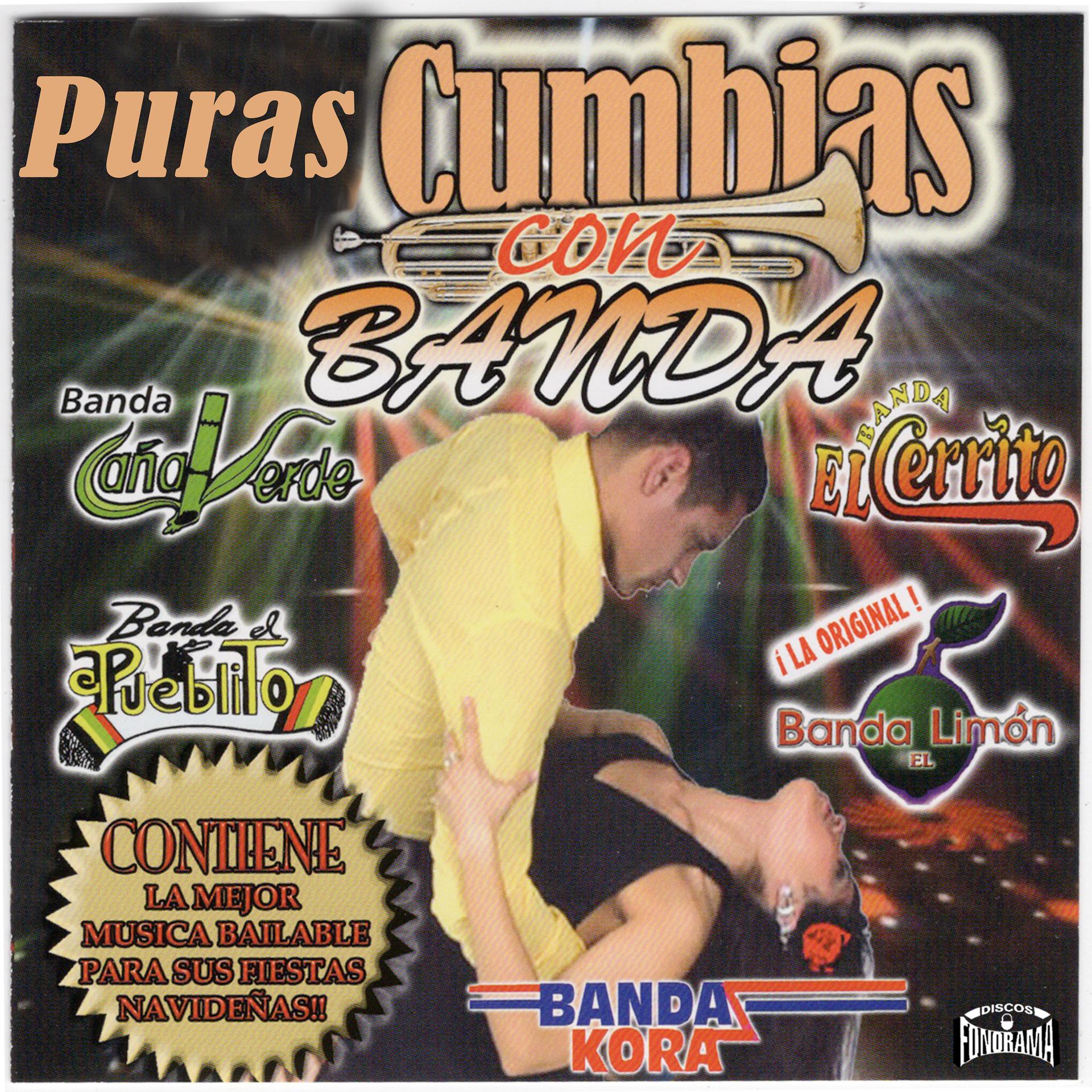 Постер альбома Puras Cumbias Con Banda
