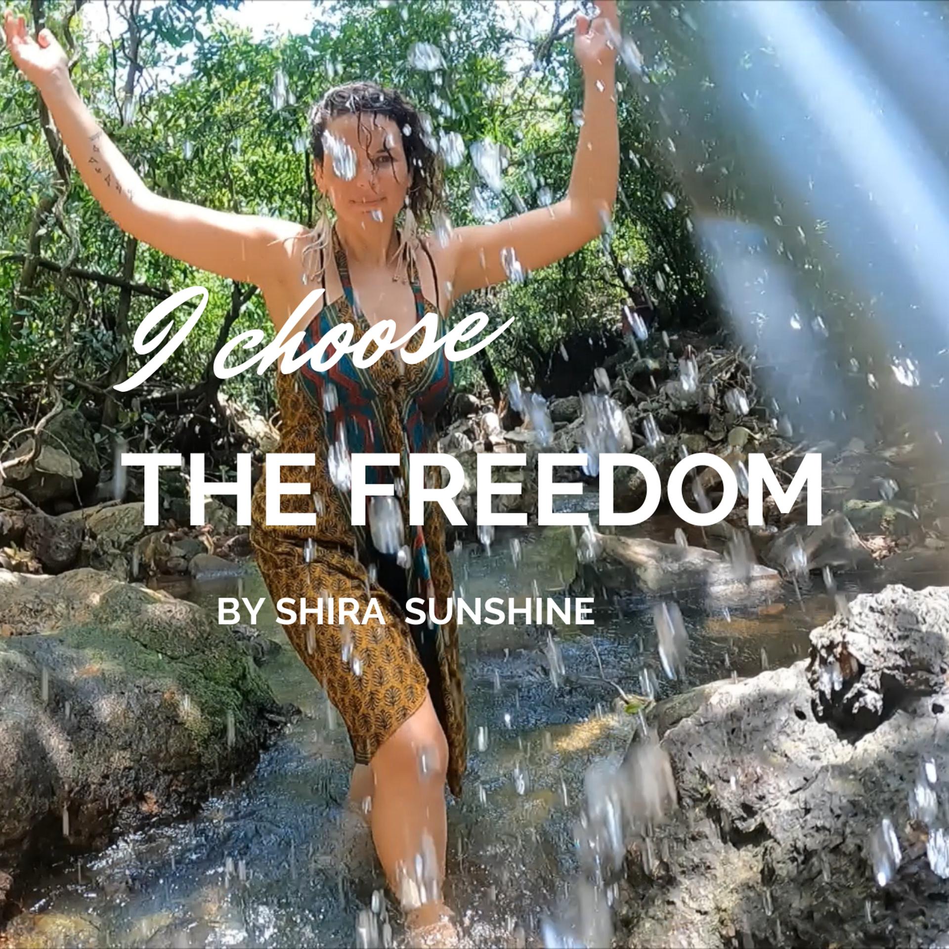 Постер альбома I Choose the Freedom