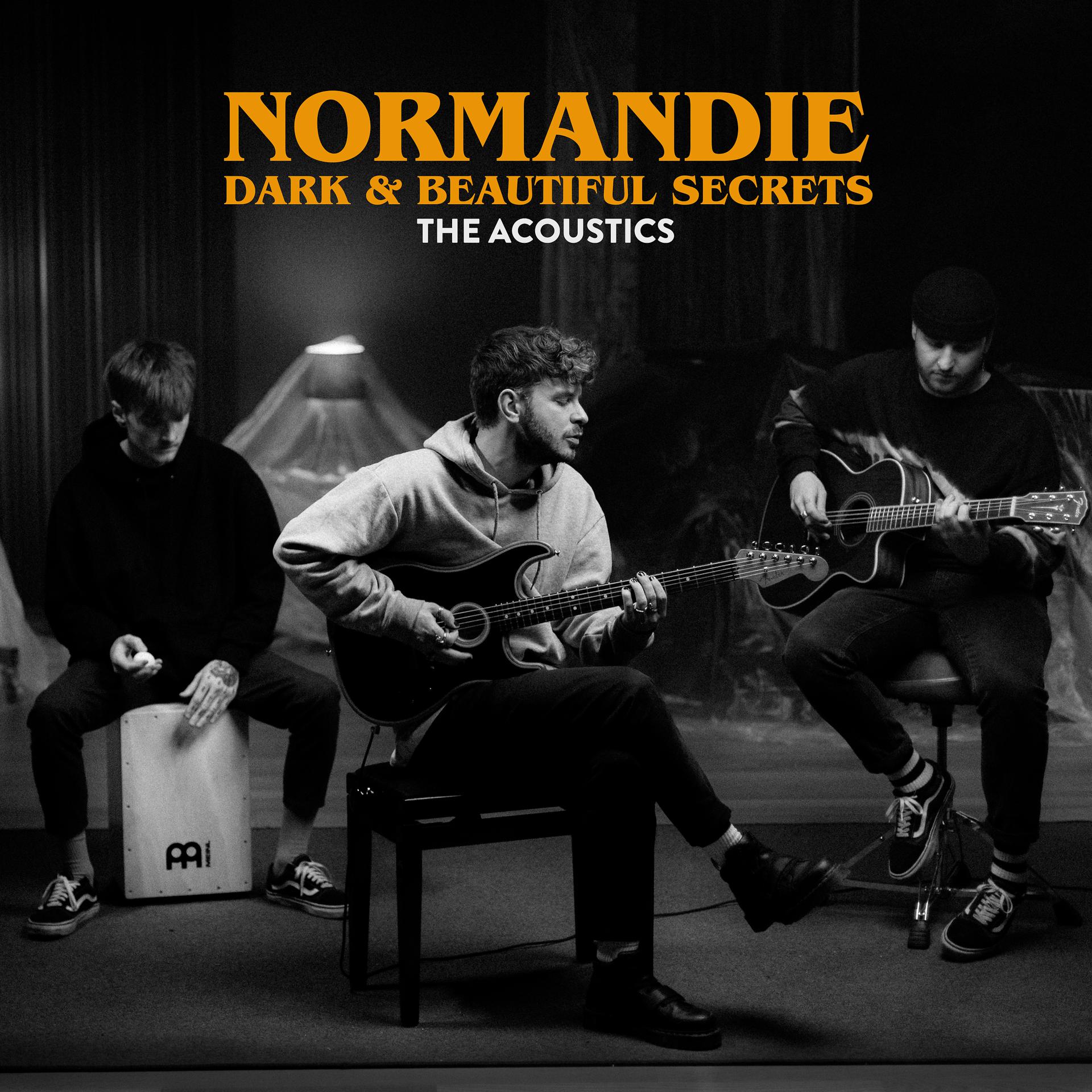 Постер альбома Dark & Beautiful Secrets (The Acoustics)