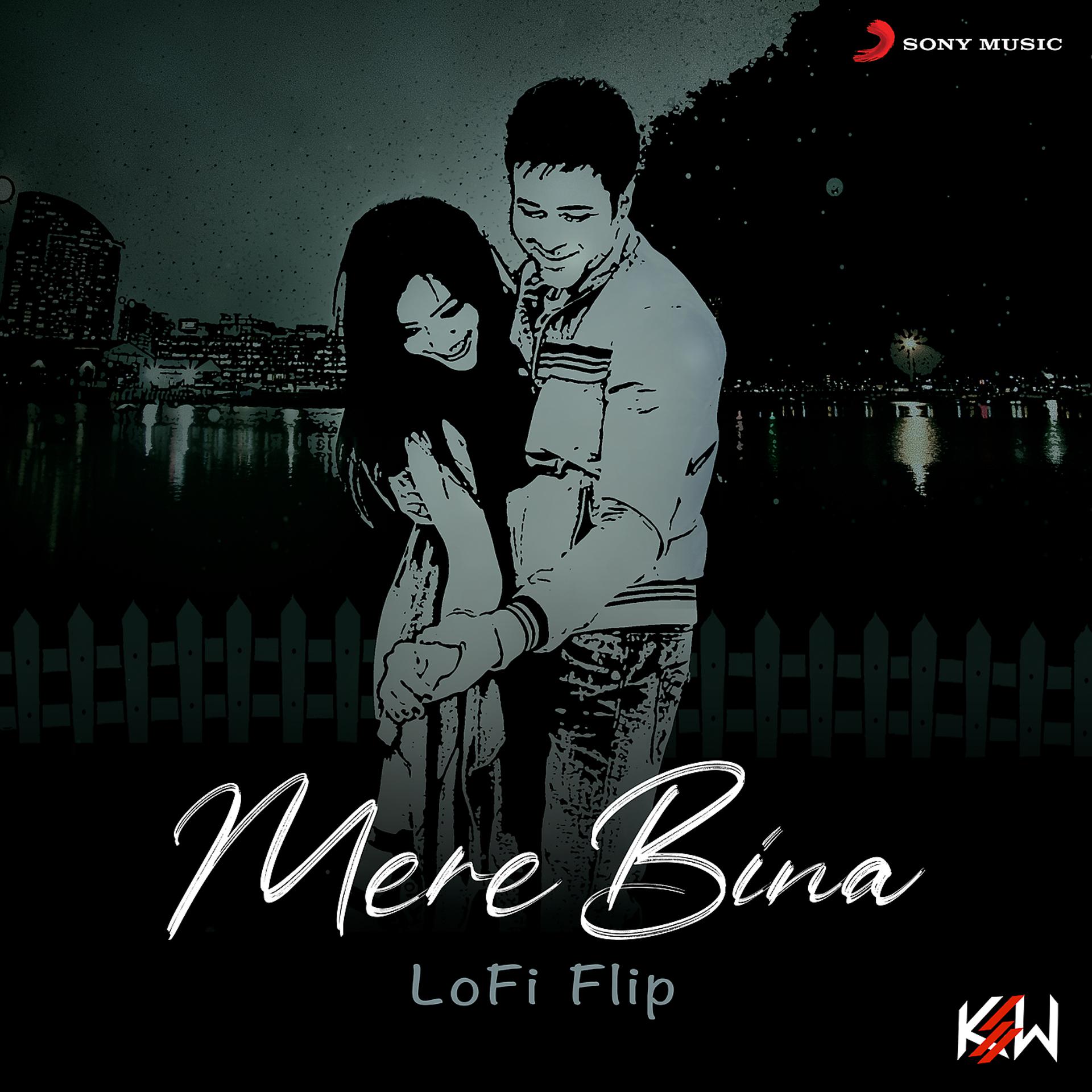 Постер альбома Mere Bina (Lofi Flip)