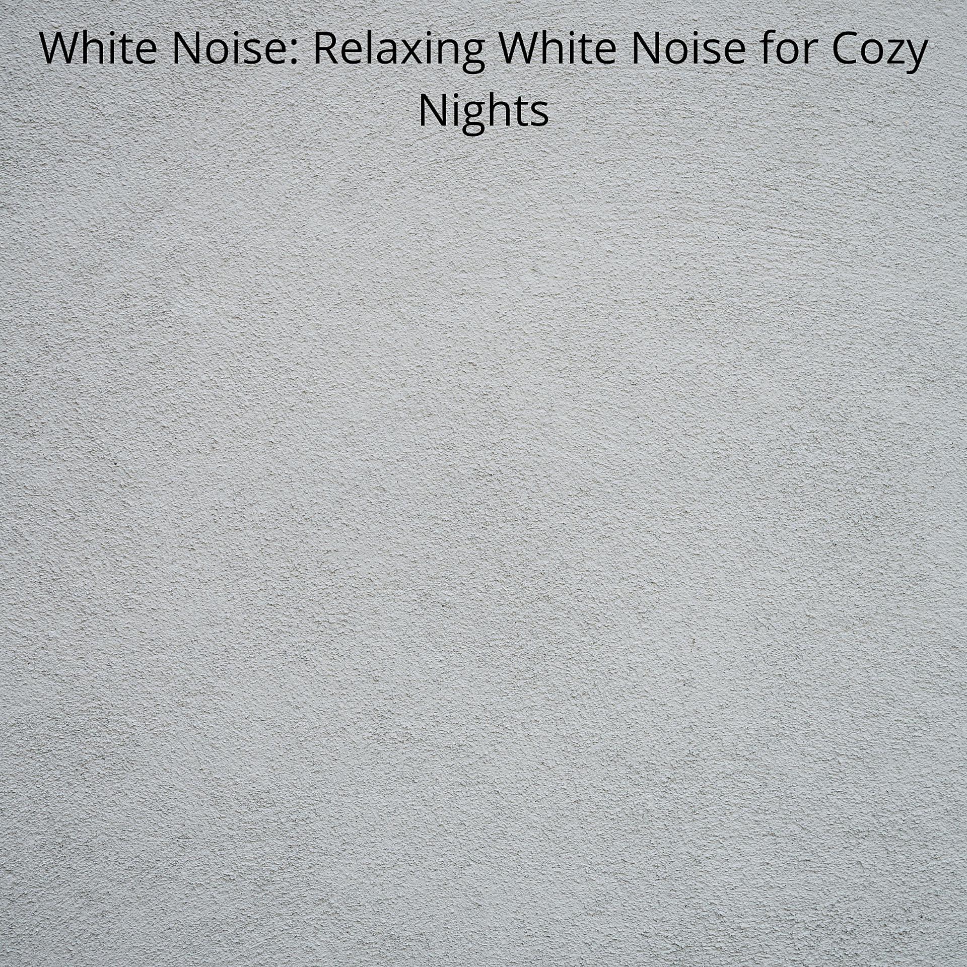 Постер альбома White Noise: Relaxing White Noise for Cozy Nights