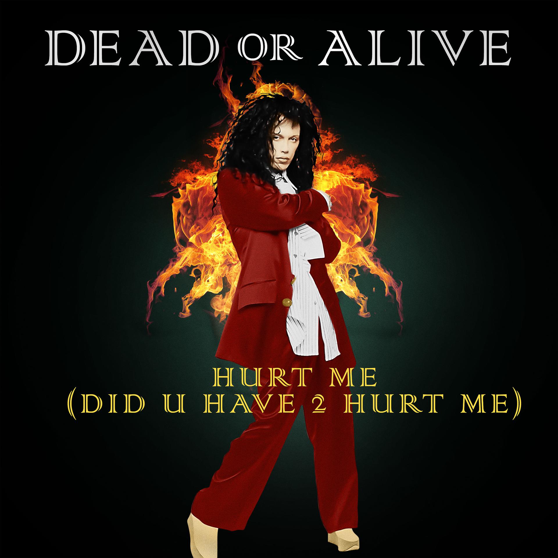 Постер альбома Hurt Me (Did U Have 2 Hurt Me)
