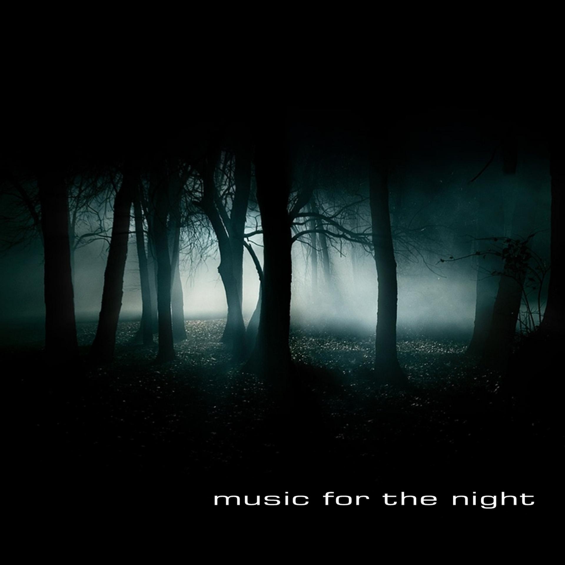 Постер альбома Music for the Night
