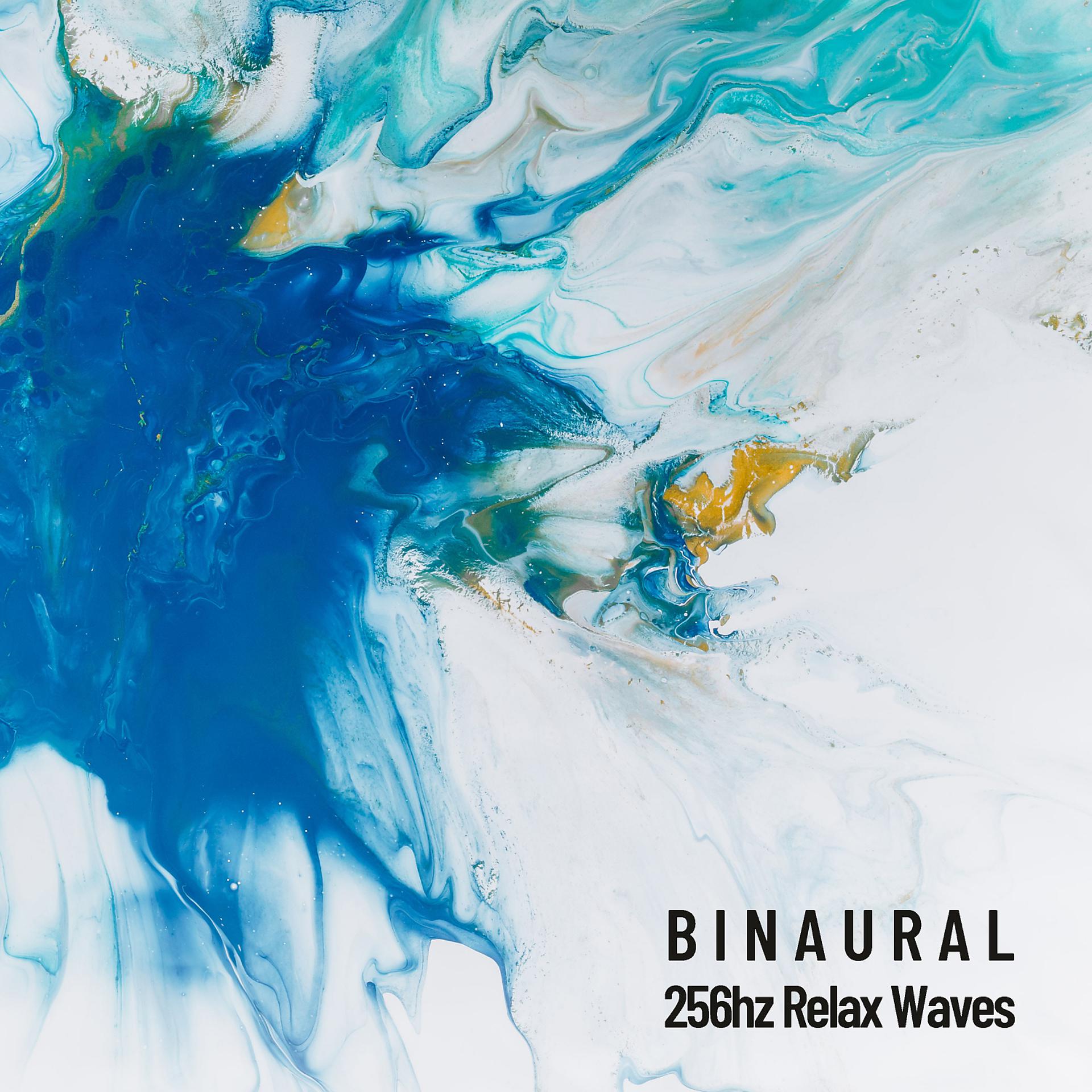 Постер альбома Binaural: 256hz Relax Waves