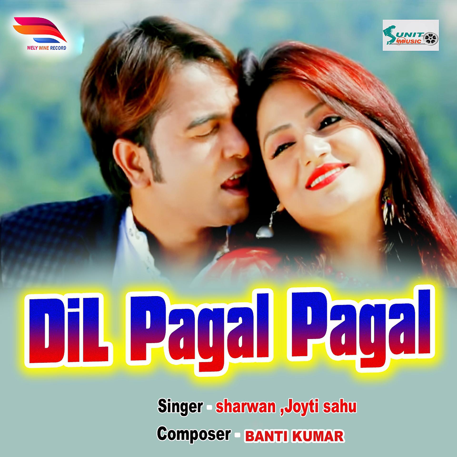 Постер альбома Dil Pagal Pagal