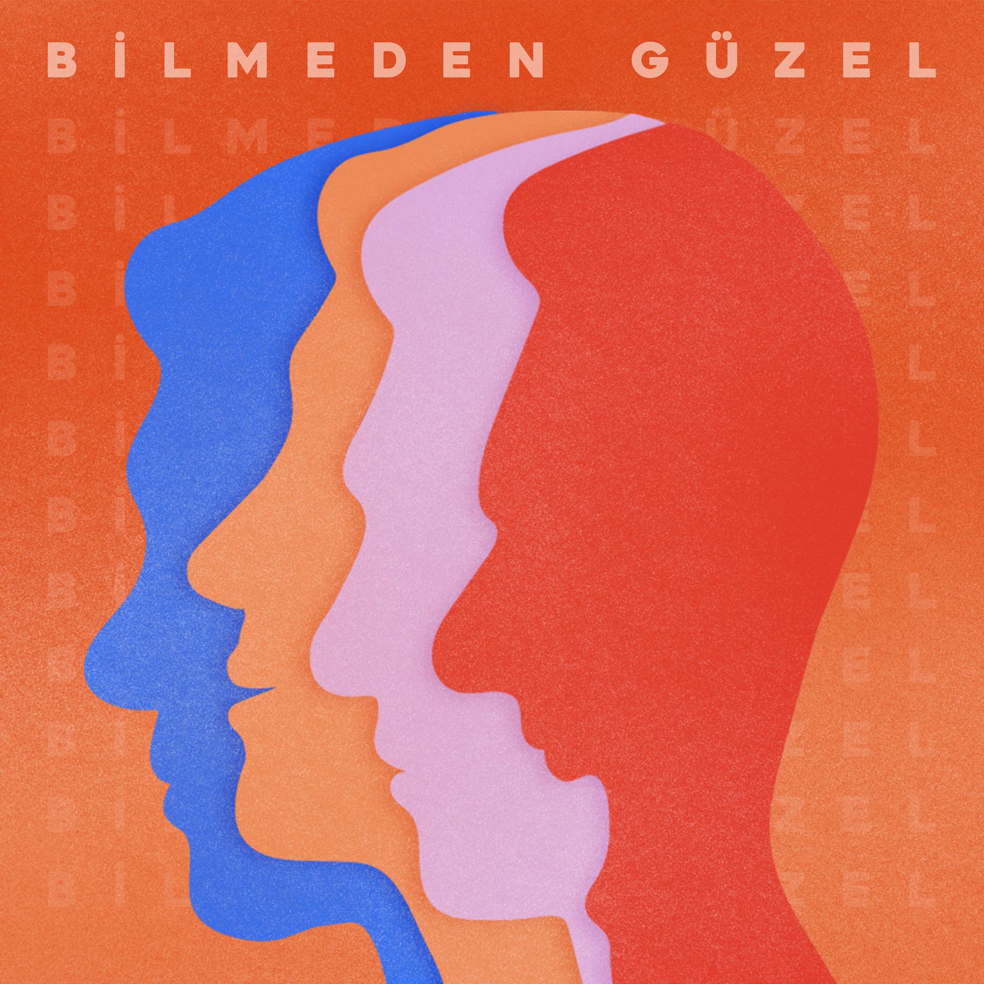 Постер альбома Bilmeden Güzel