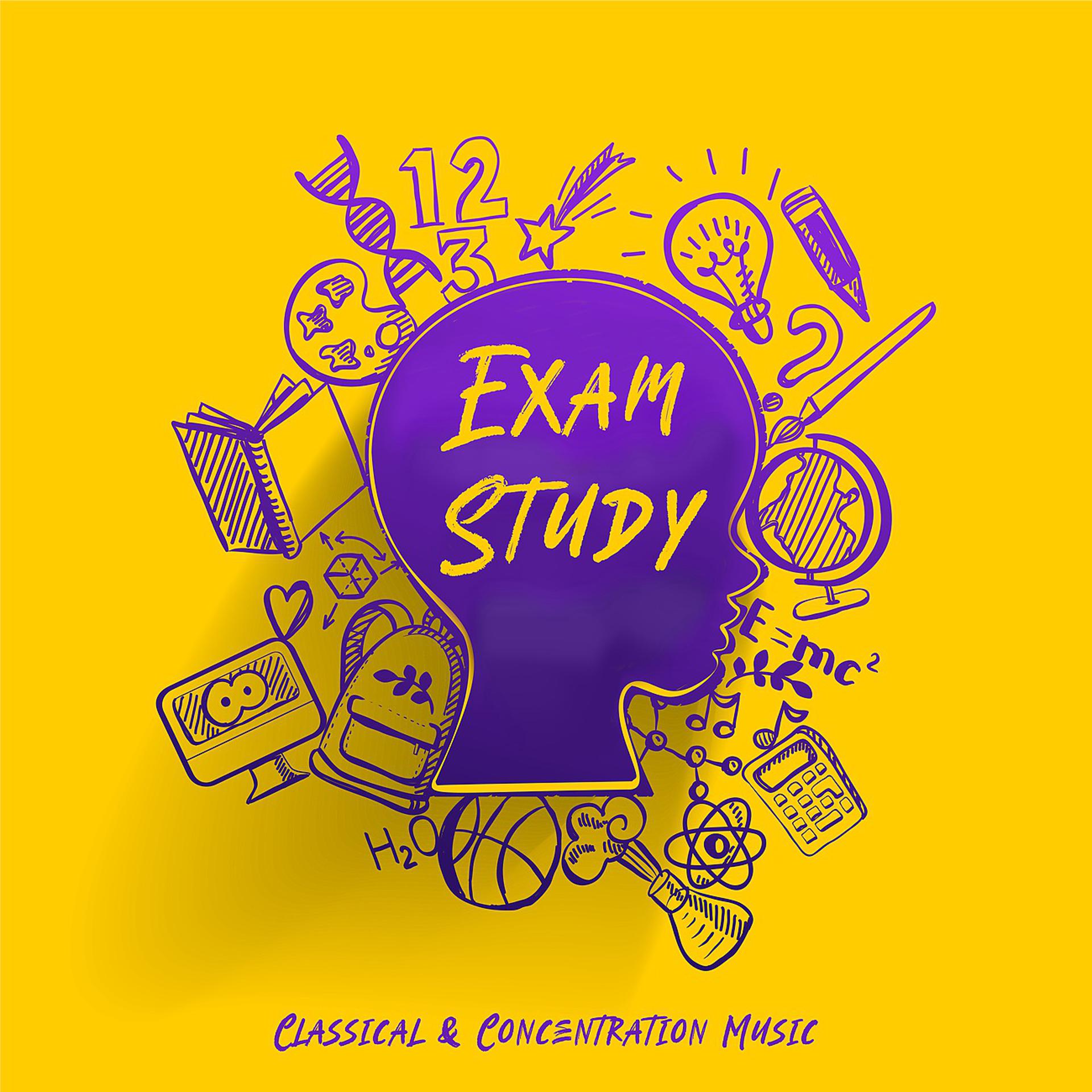 Постер альбома Exam Study - Classical & Concentration Music for Studying, Brain Food to Increase Brain Power & Concentration With Classical Composers