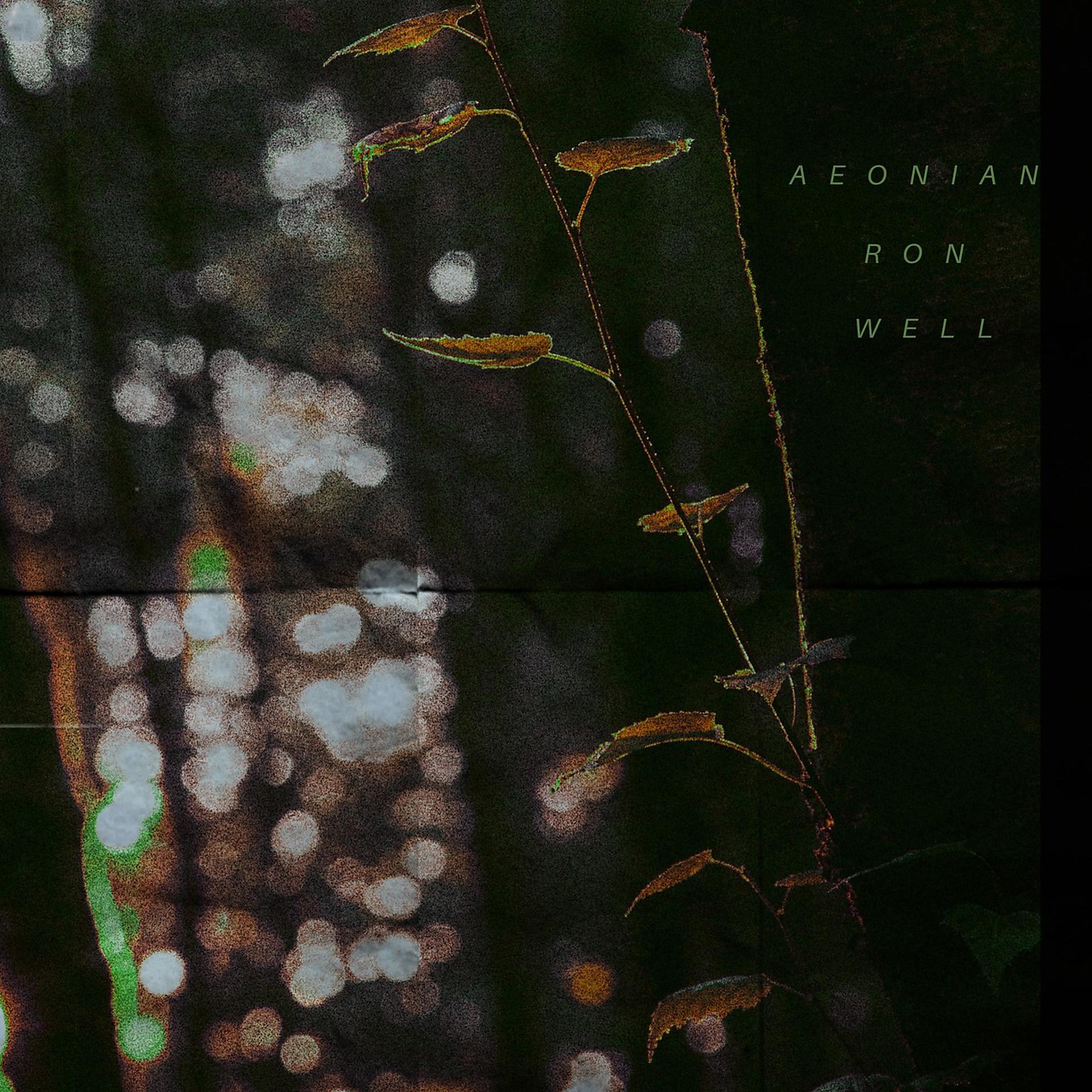 Постер альбома Aeonian