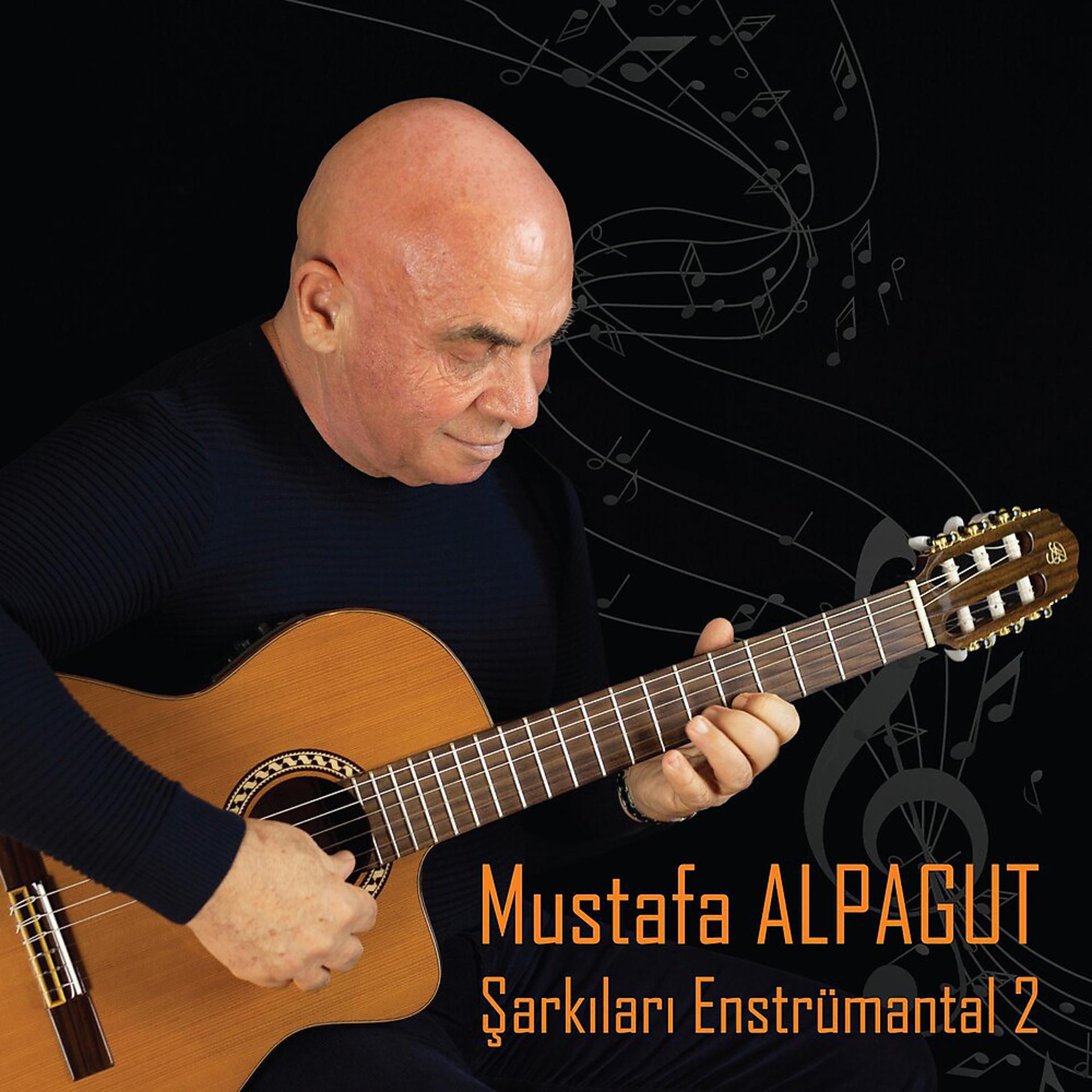 Постер альбома Mustafa Alpagut Şarkıları Enstrümantal 2