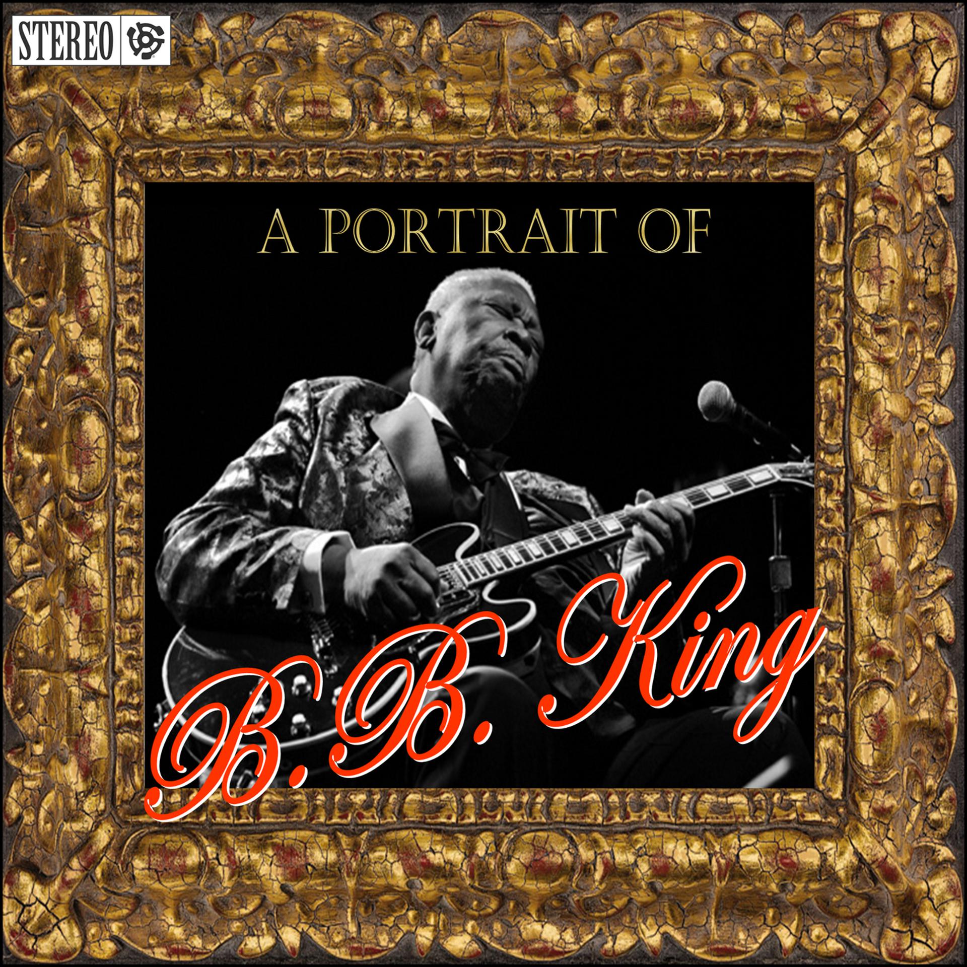 Постер альбома A Portrait Of B.B. King