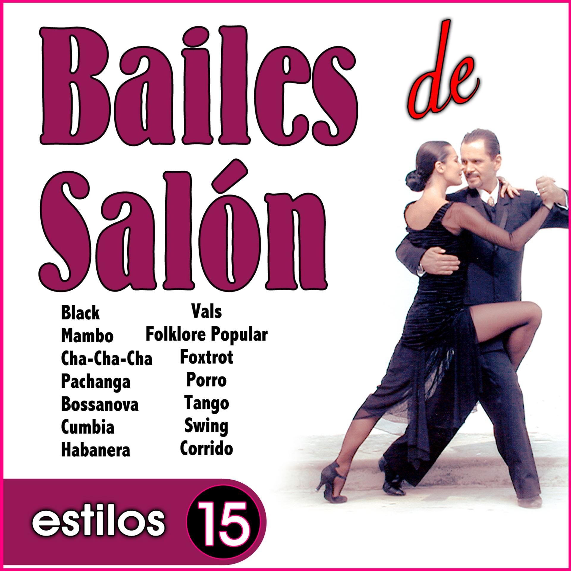 Постер альбома Bailes de Salón. 15 Estilos