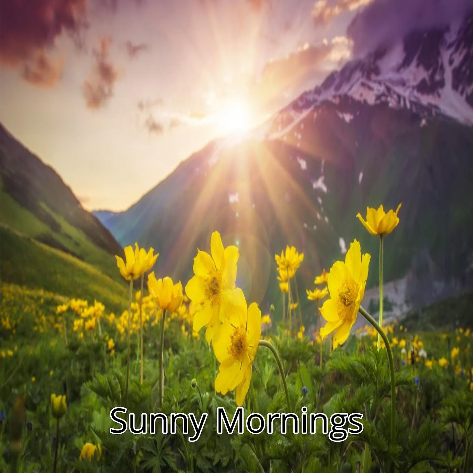 Постер альбома Sunny Mornings