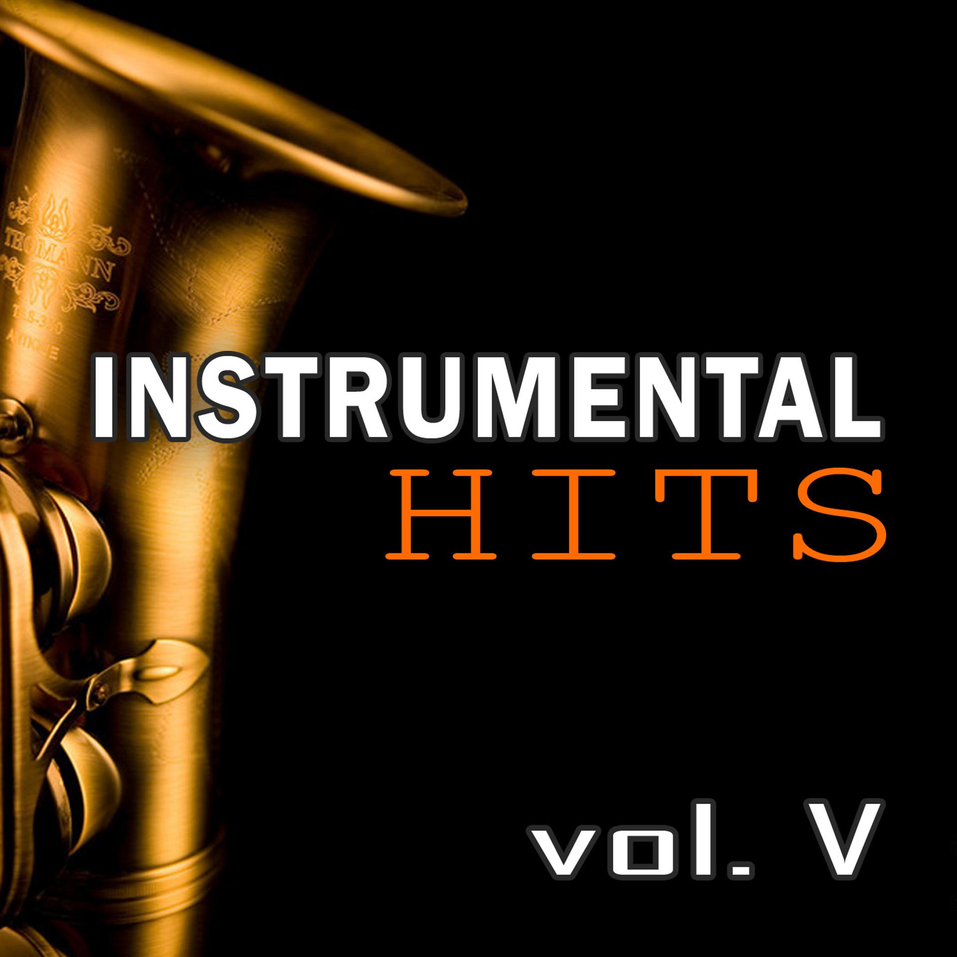 Постер альбома Instrumental Hits vol.5