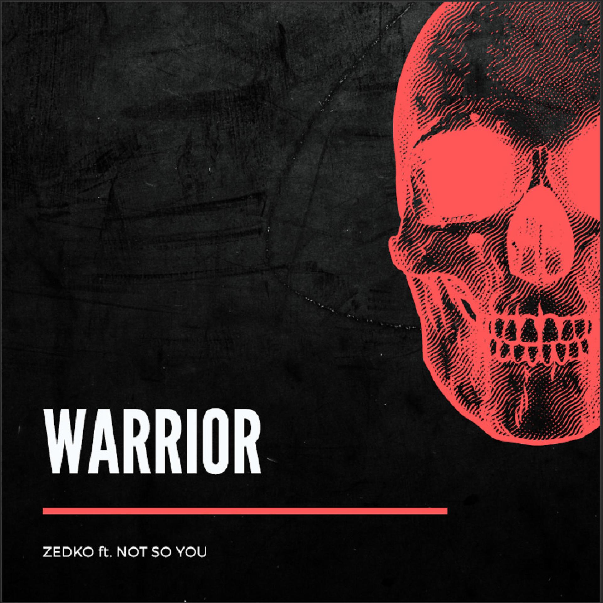 Постер альбома Warrior (feat. Not So You)