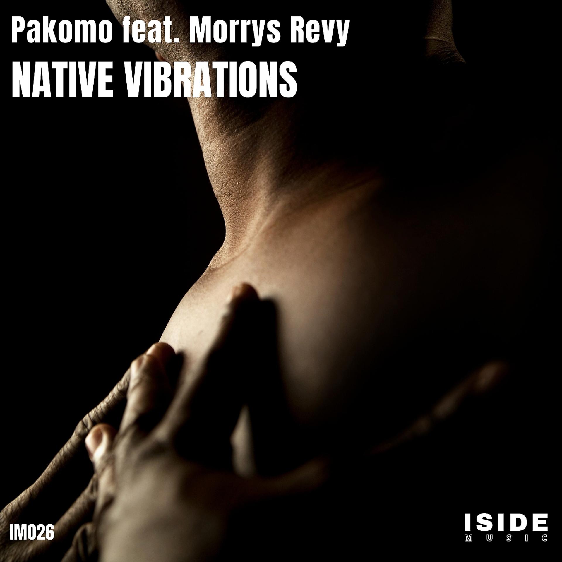 Постер альбома Native Vibrations