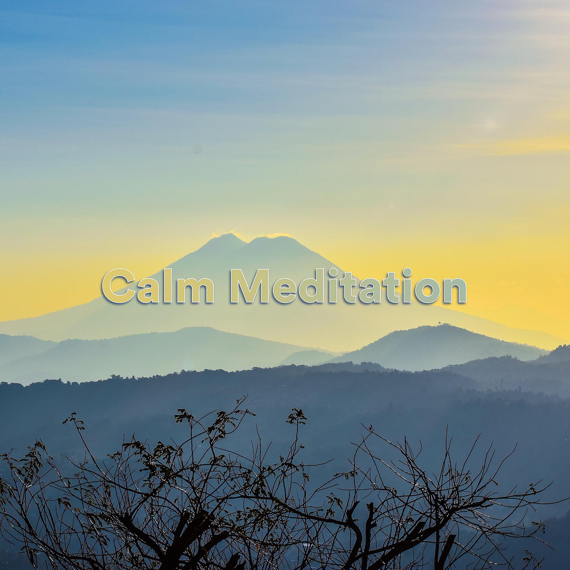 Постер альбома Calm Meditation