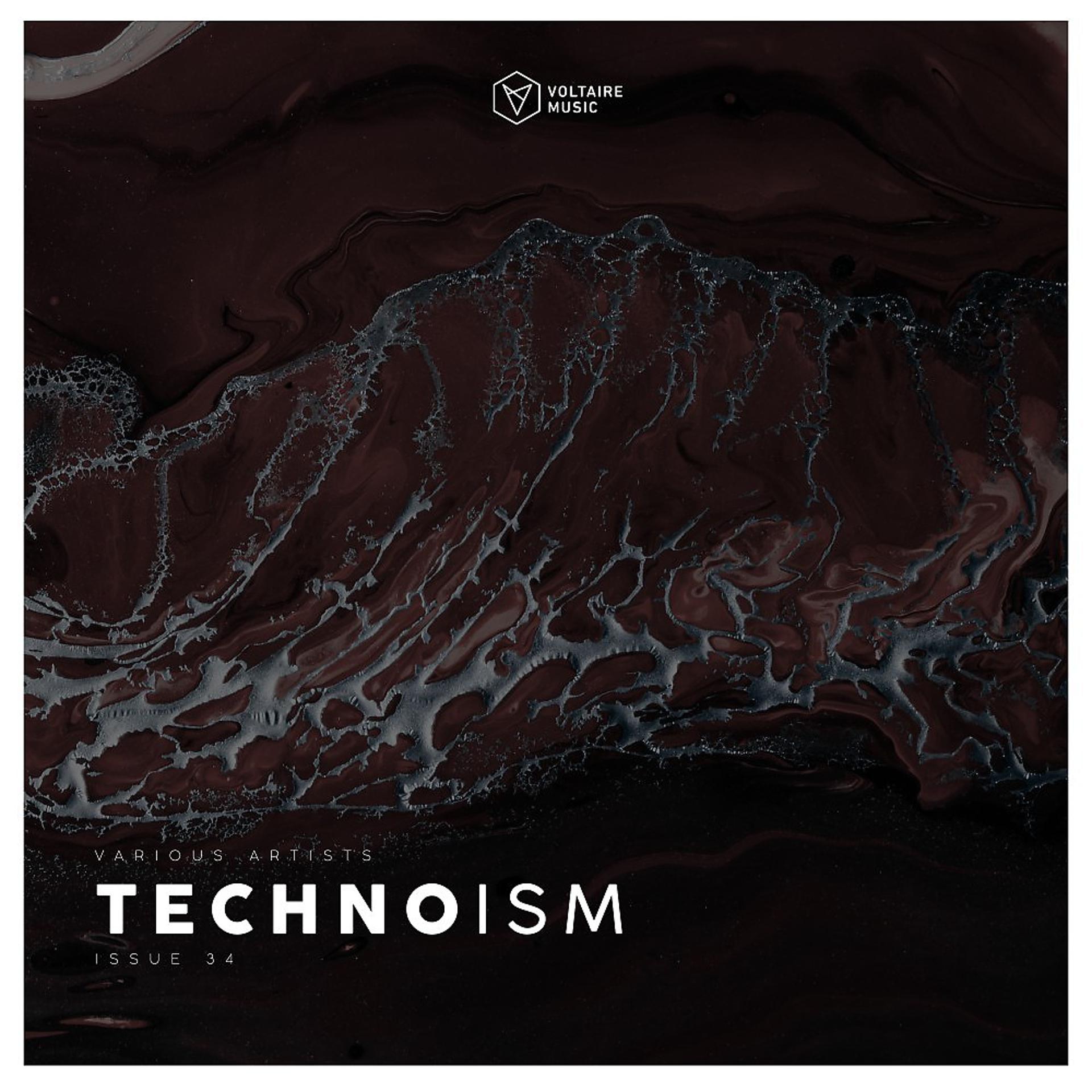 Постер альбома Technoism Issue 34