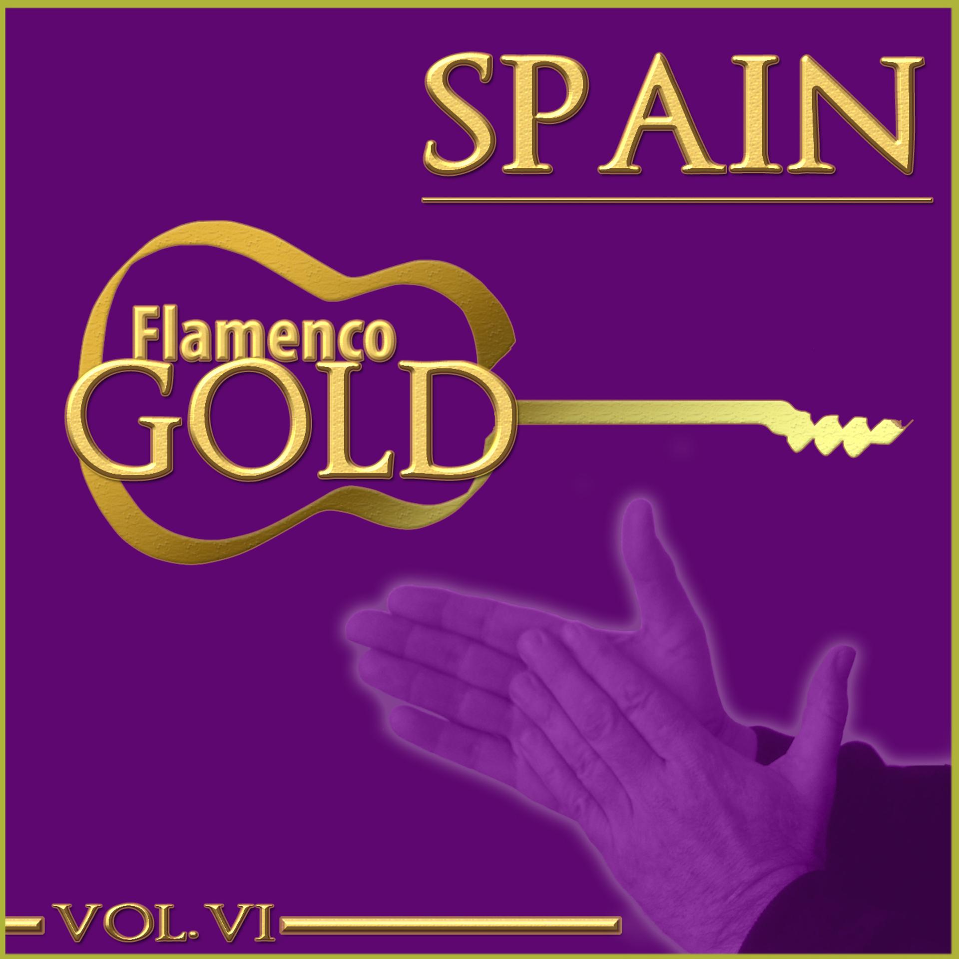 Постер альбома Flamenco Gold. Spain. Vol. VI