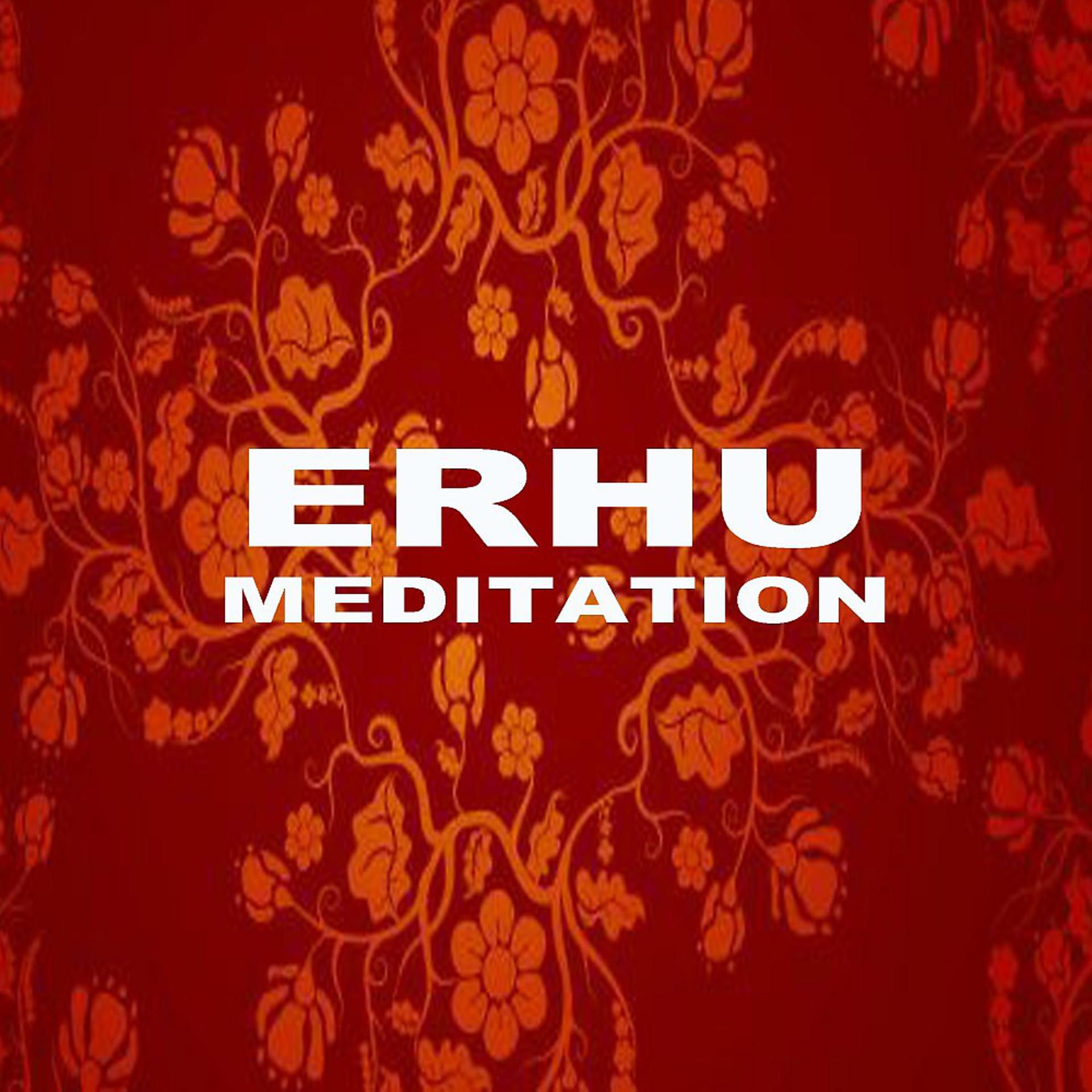 Постер альбома Erhu Meditation Music