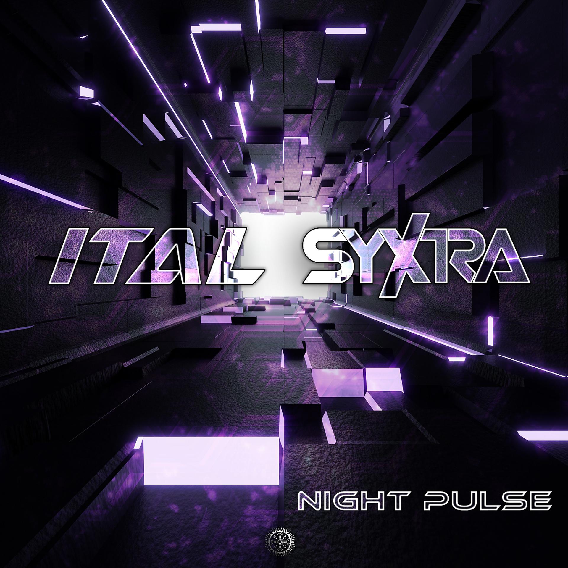 Постер альбома Night Pulse