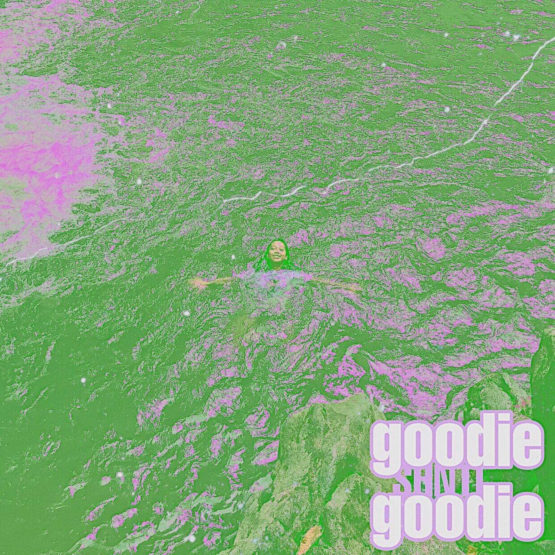 Постер альбома Goodie Goodie