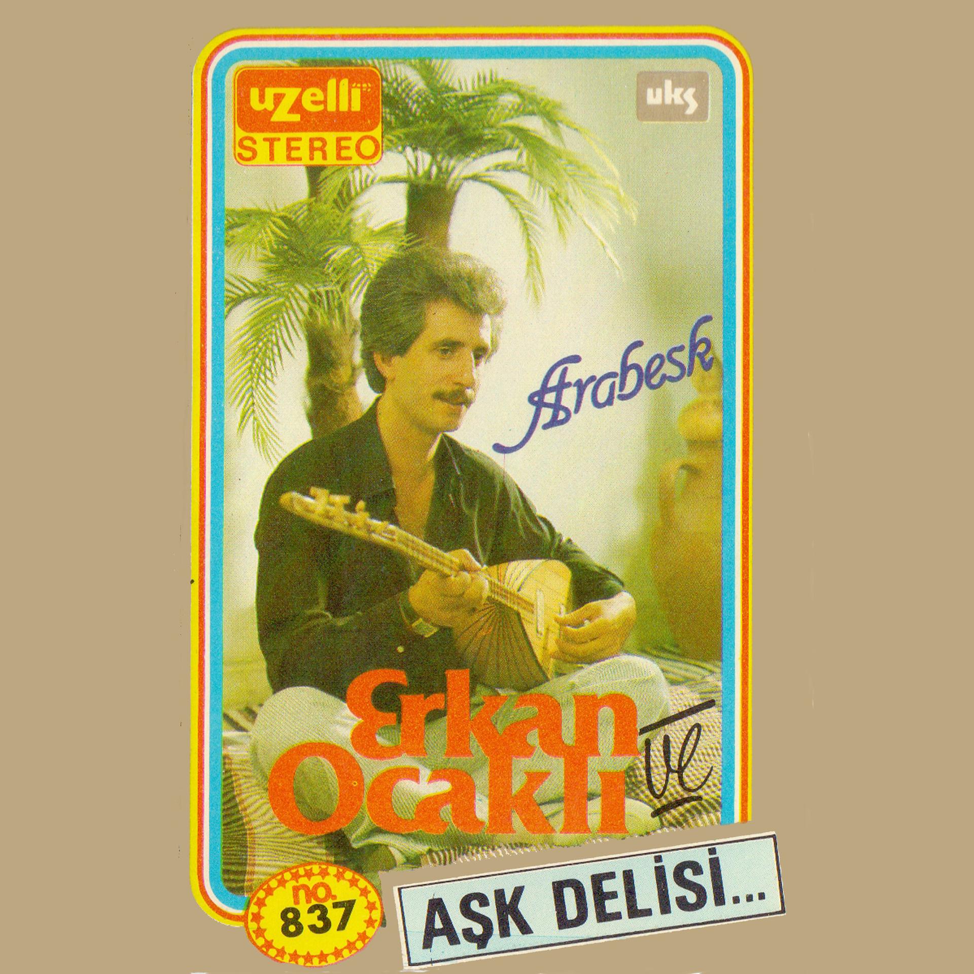 Постер альбома Aşk Delisi