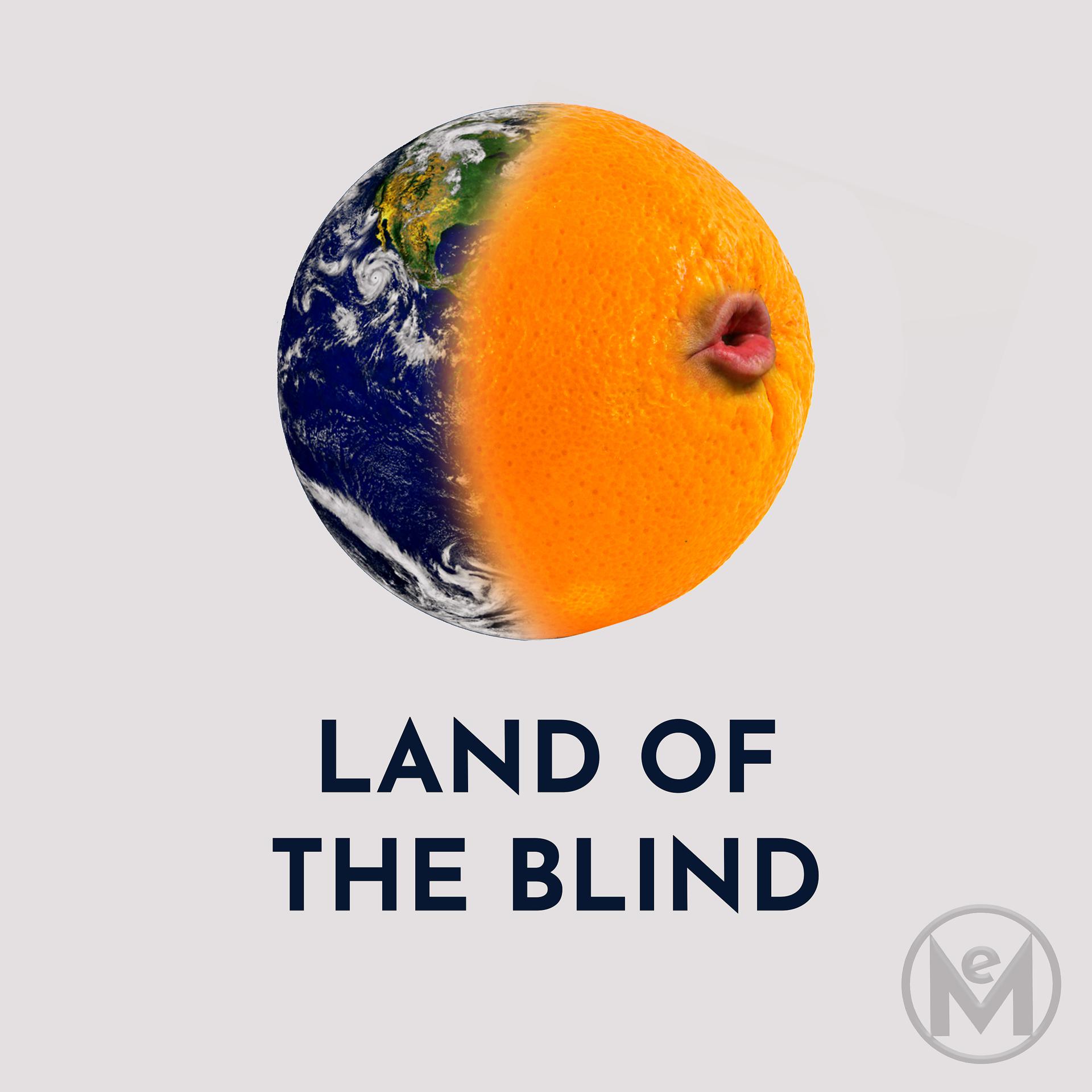 Постер альбома Land of the Blind