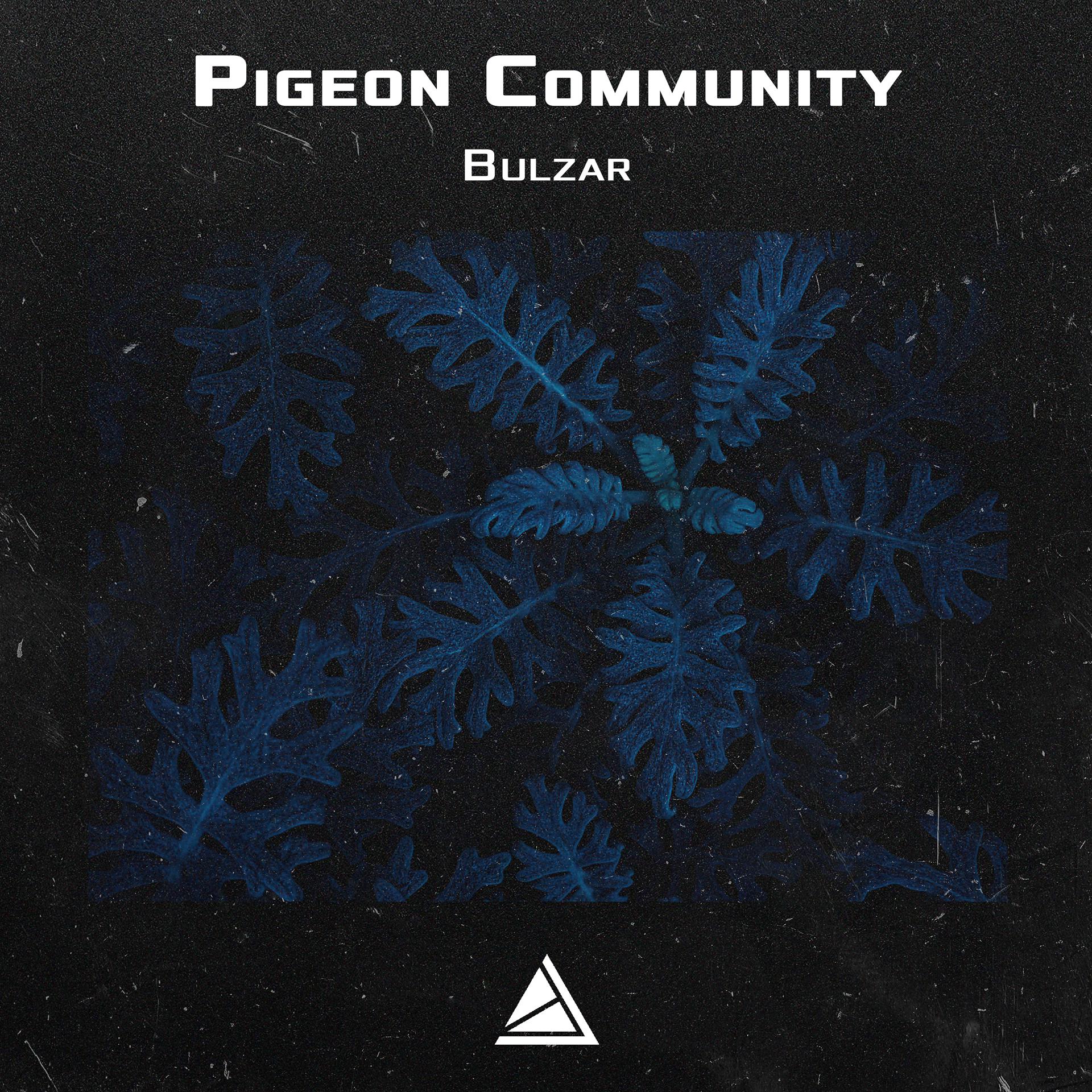 Постер к треку Pigeon Community - Bulzar