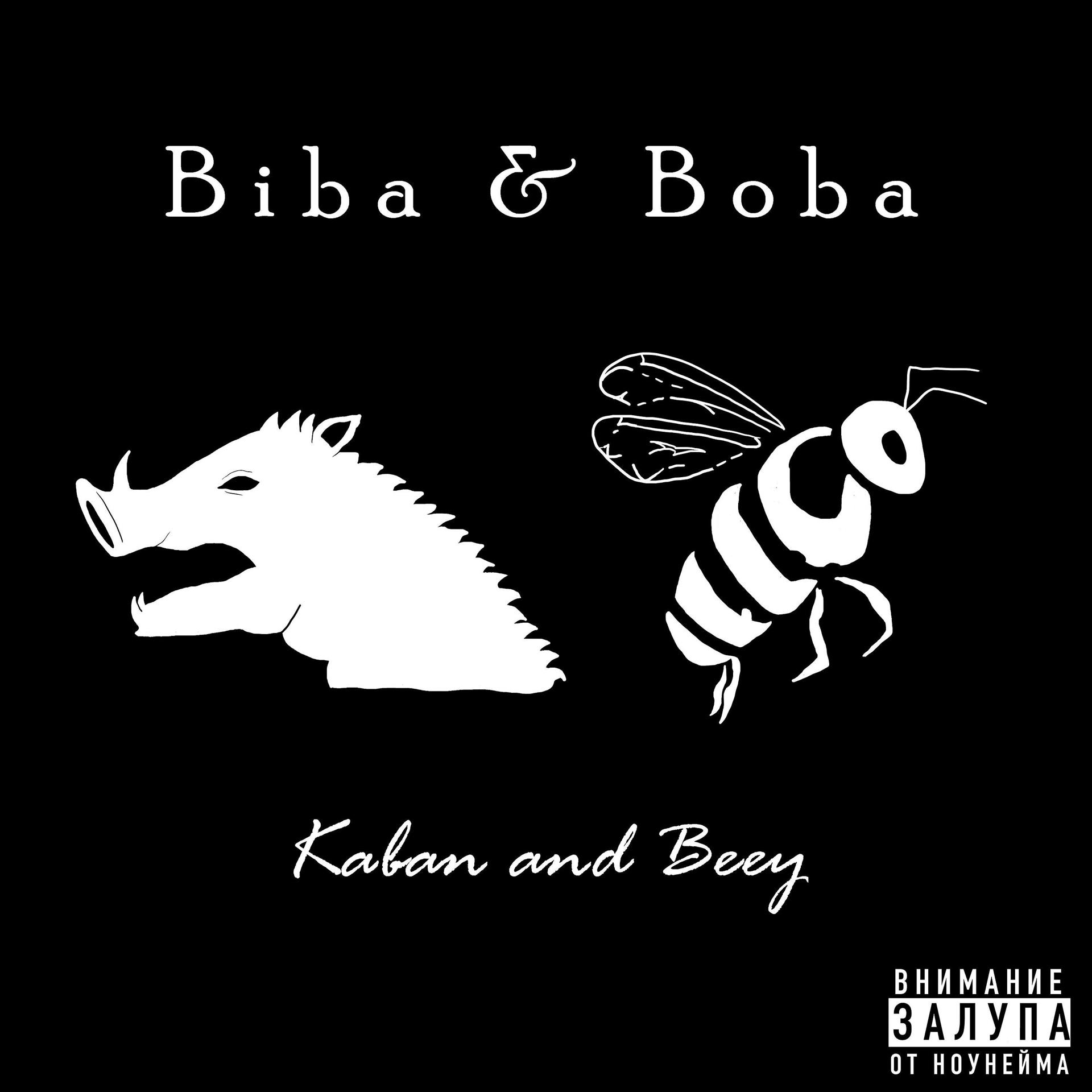 Постер альбома Biba & Boba