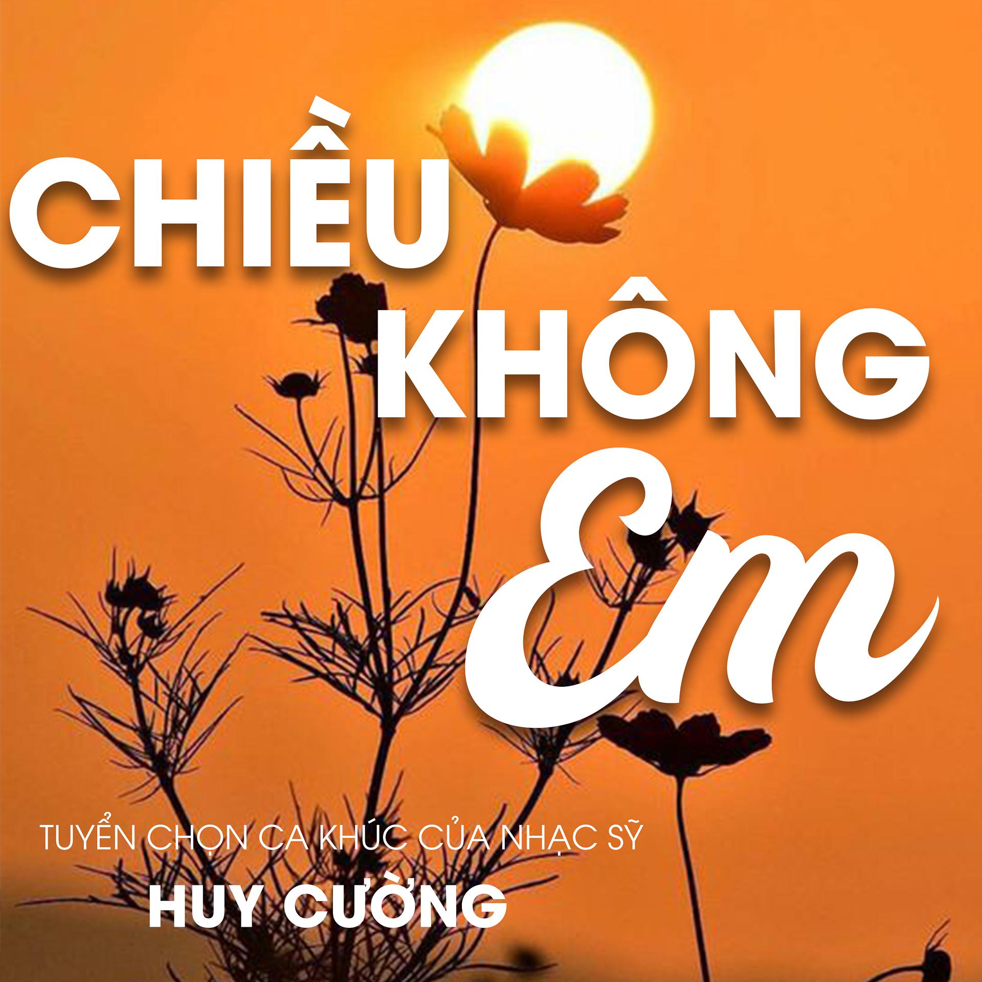 Постер альбома Chiều Không Em