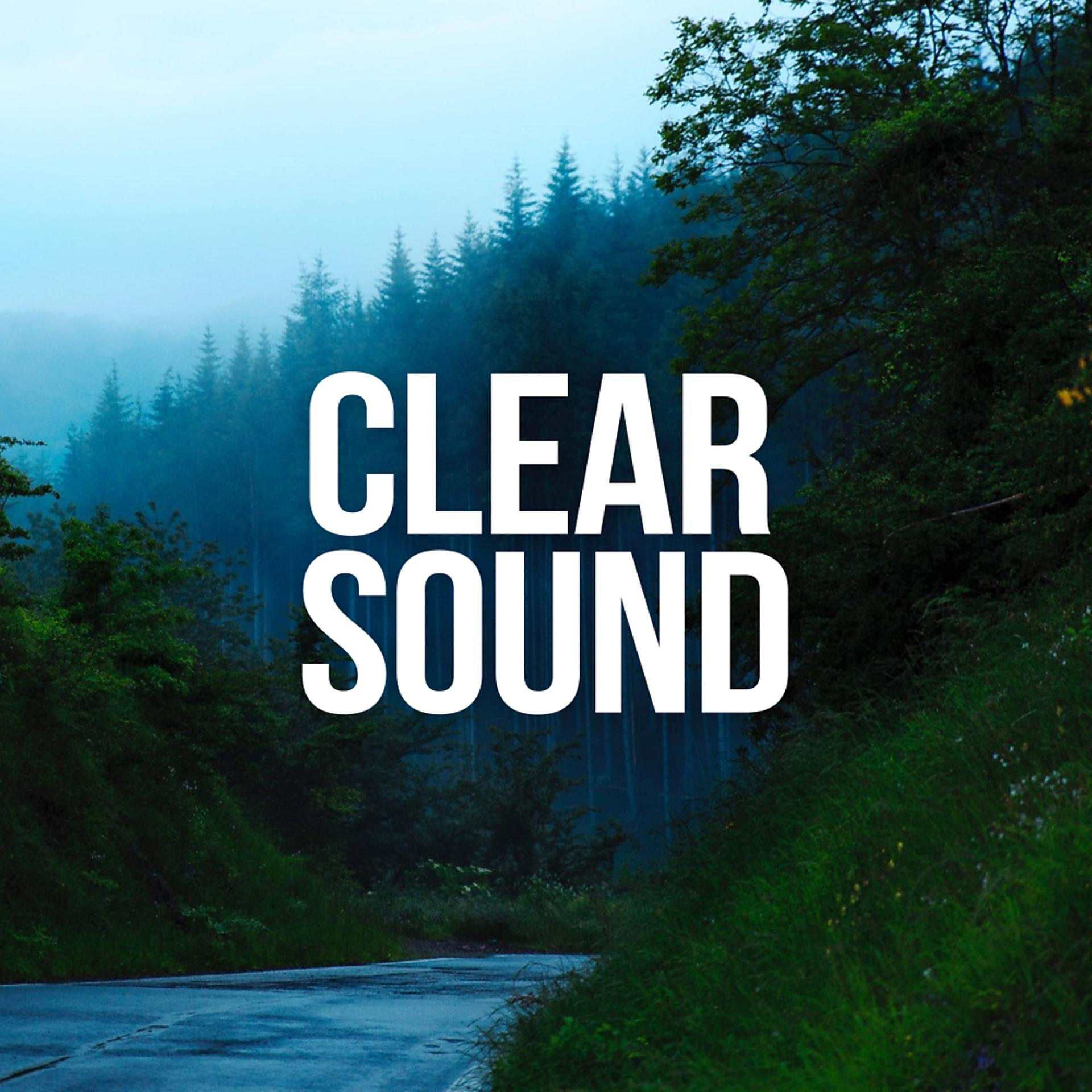 Постер альбома Clear Sound