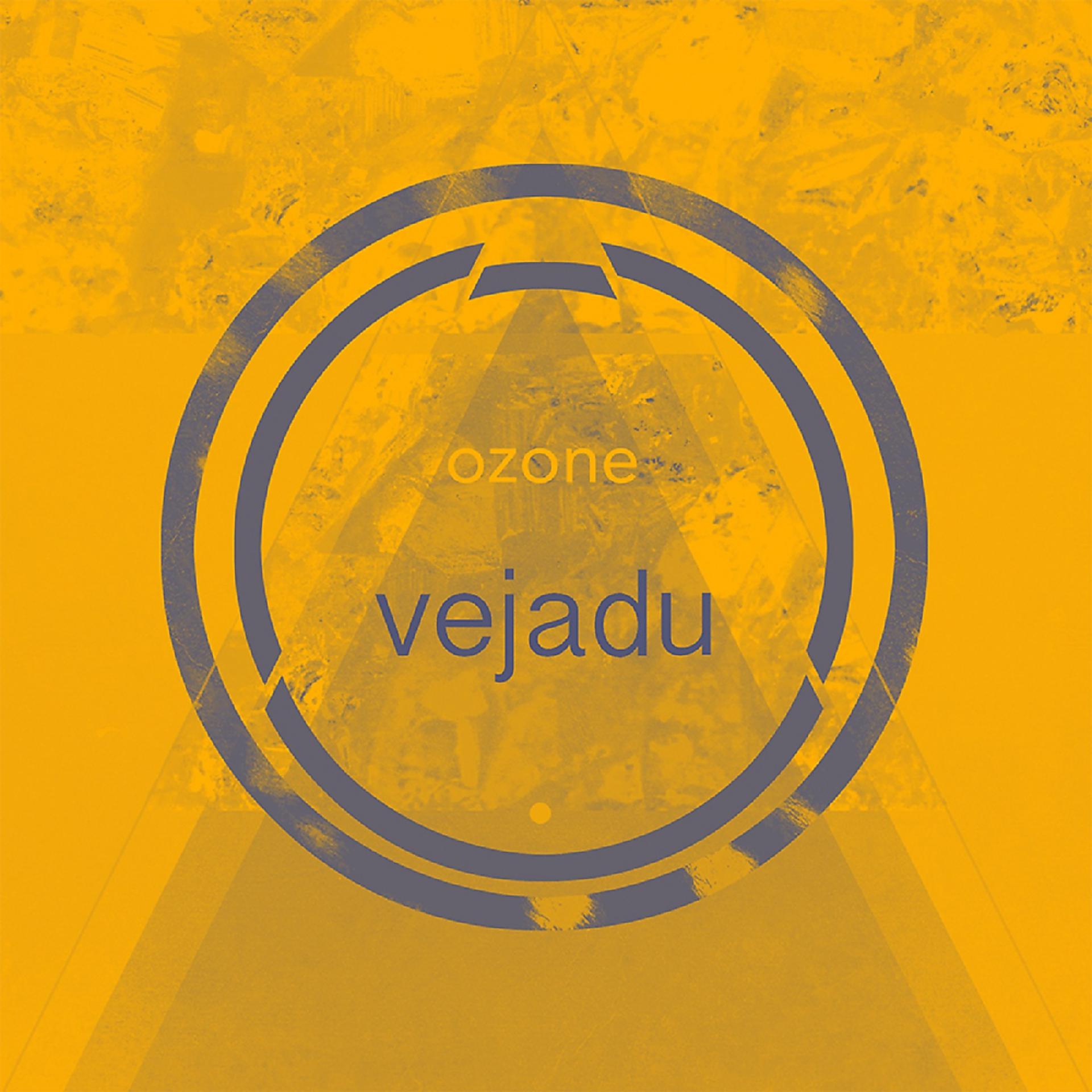 Постер альбома Vejadu