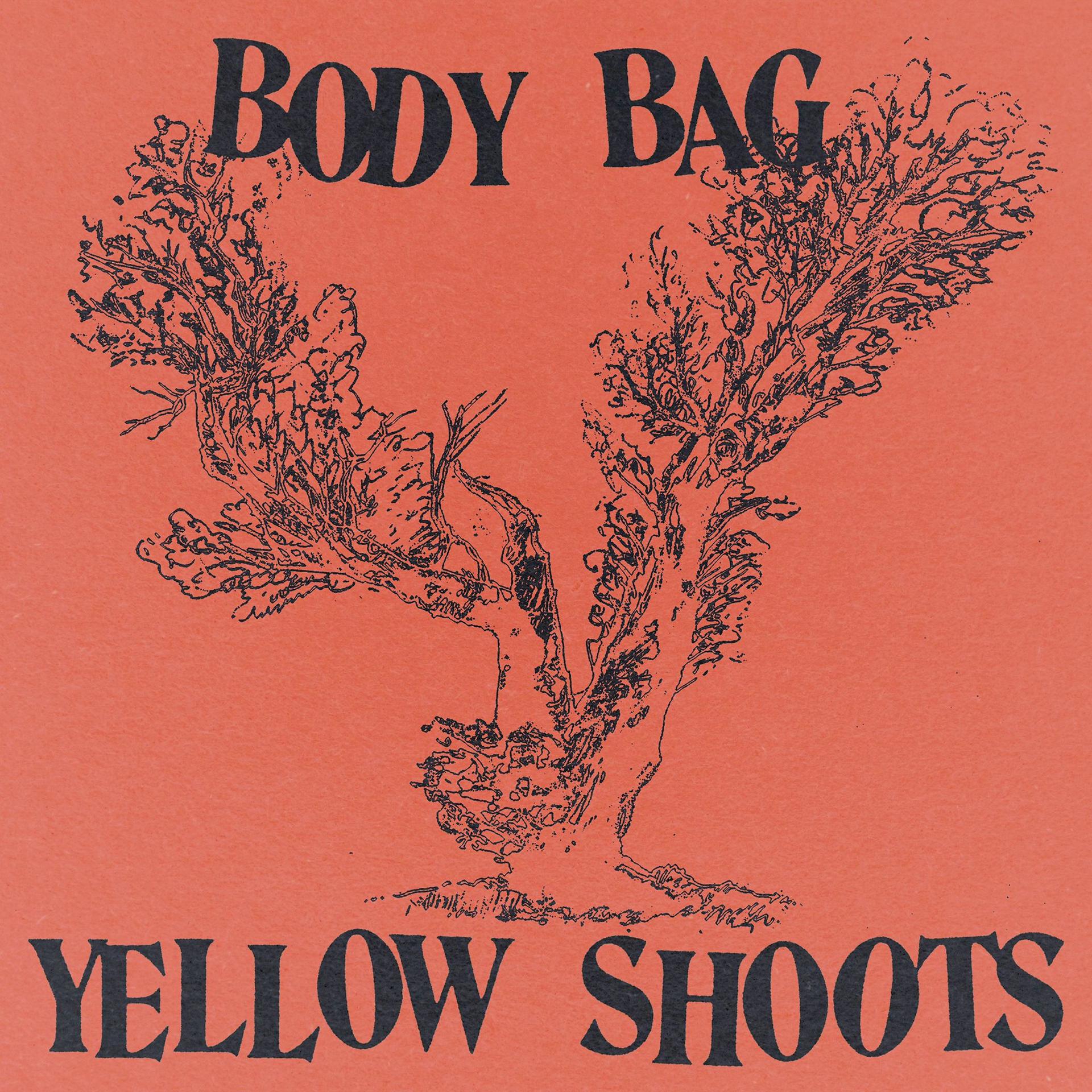 Постер альбома BODY BAG