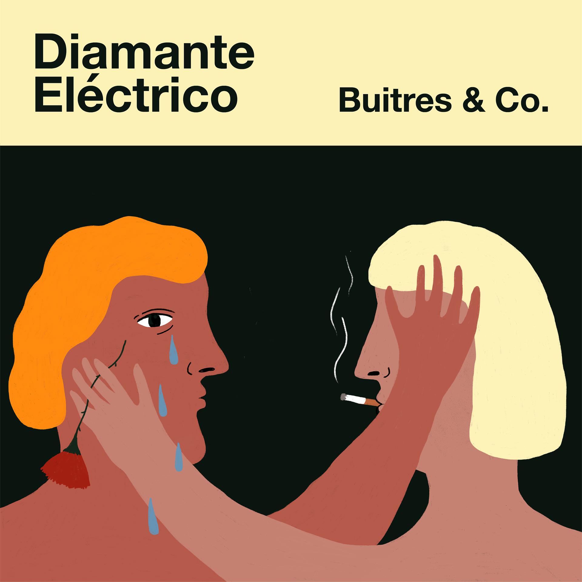 Постер альбома Buitres & Co.