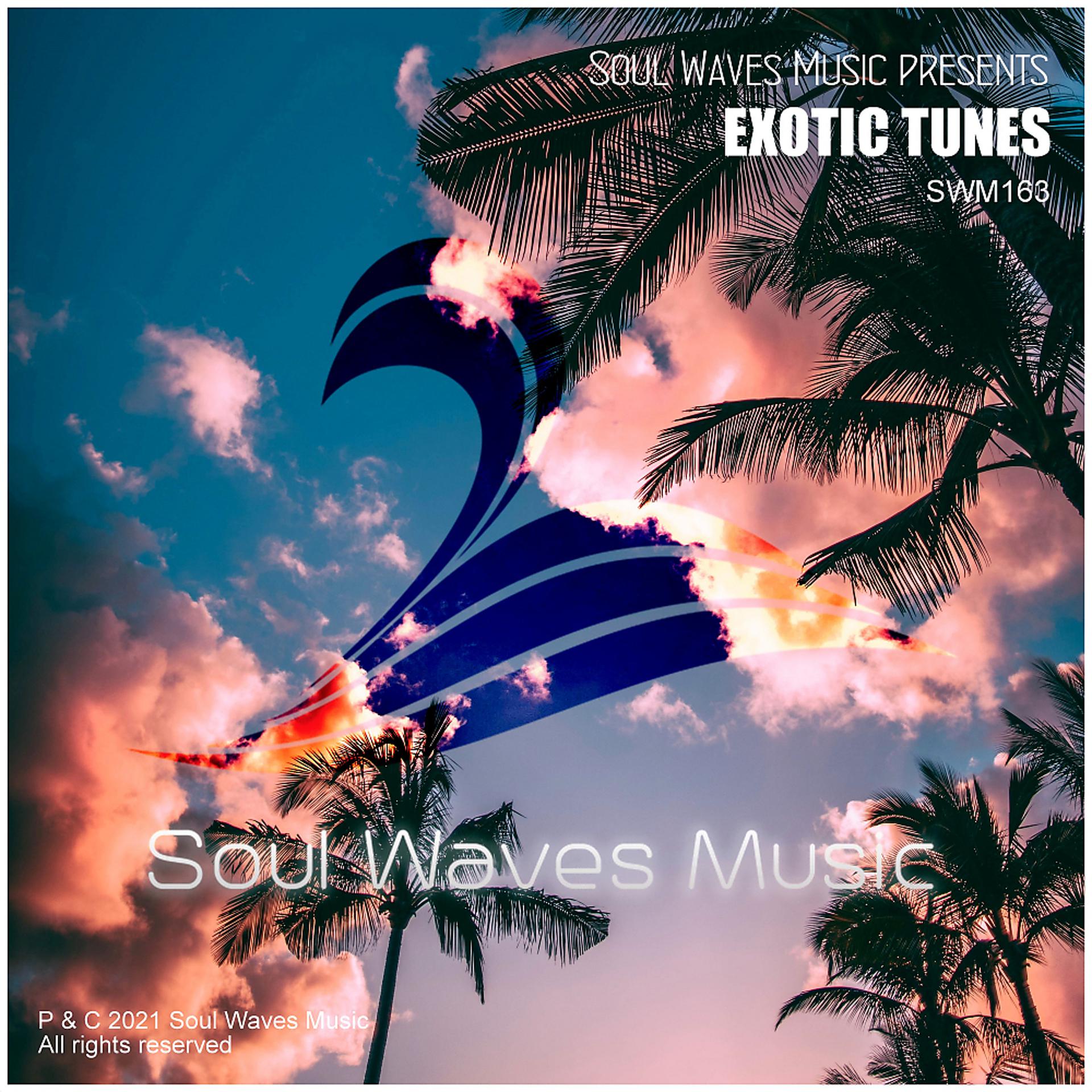 Постер альбома Soul Waves Music pres. Exotic Tunes