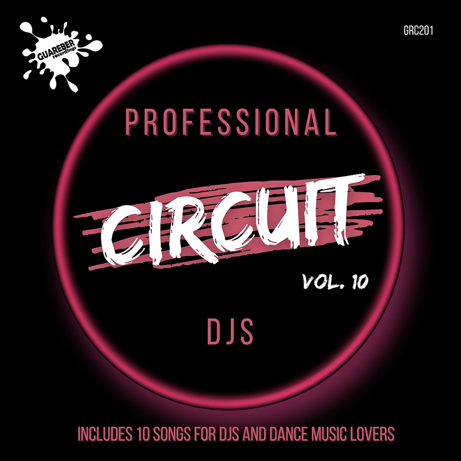 Постер альбома Professional Circuit Djs Compilation Vol.10