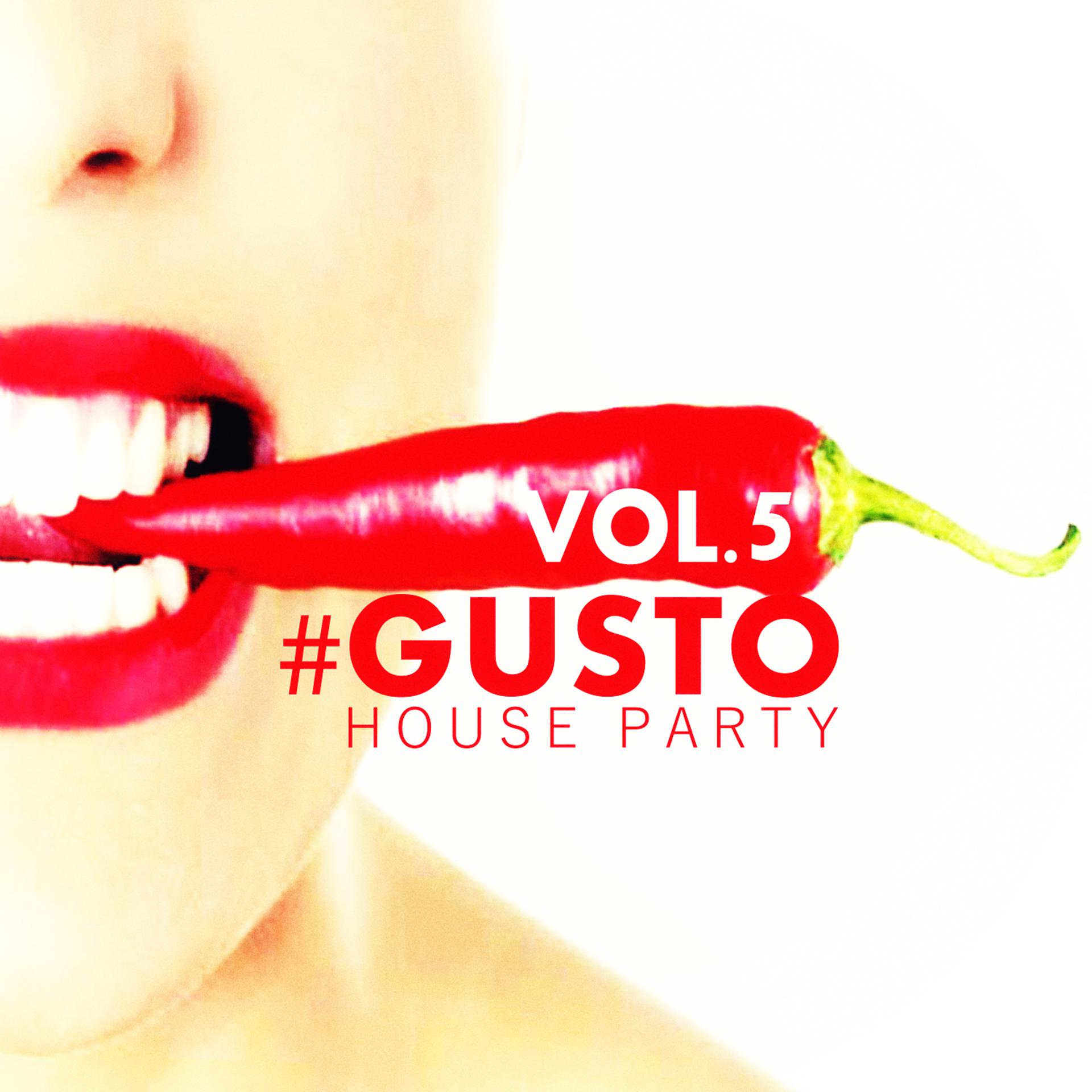 Постер альбома #gusto House Party - Vol.5