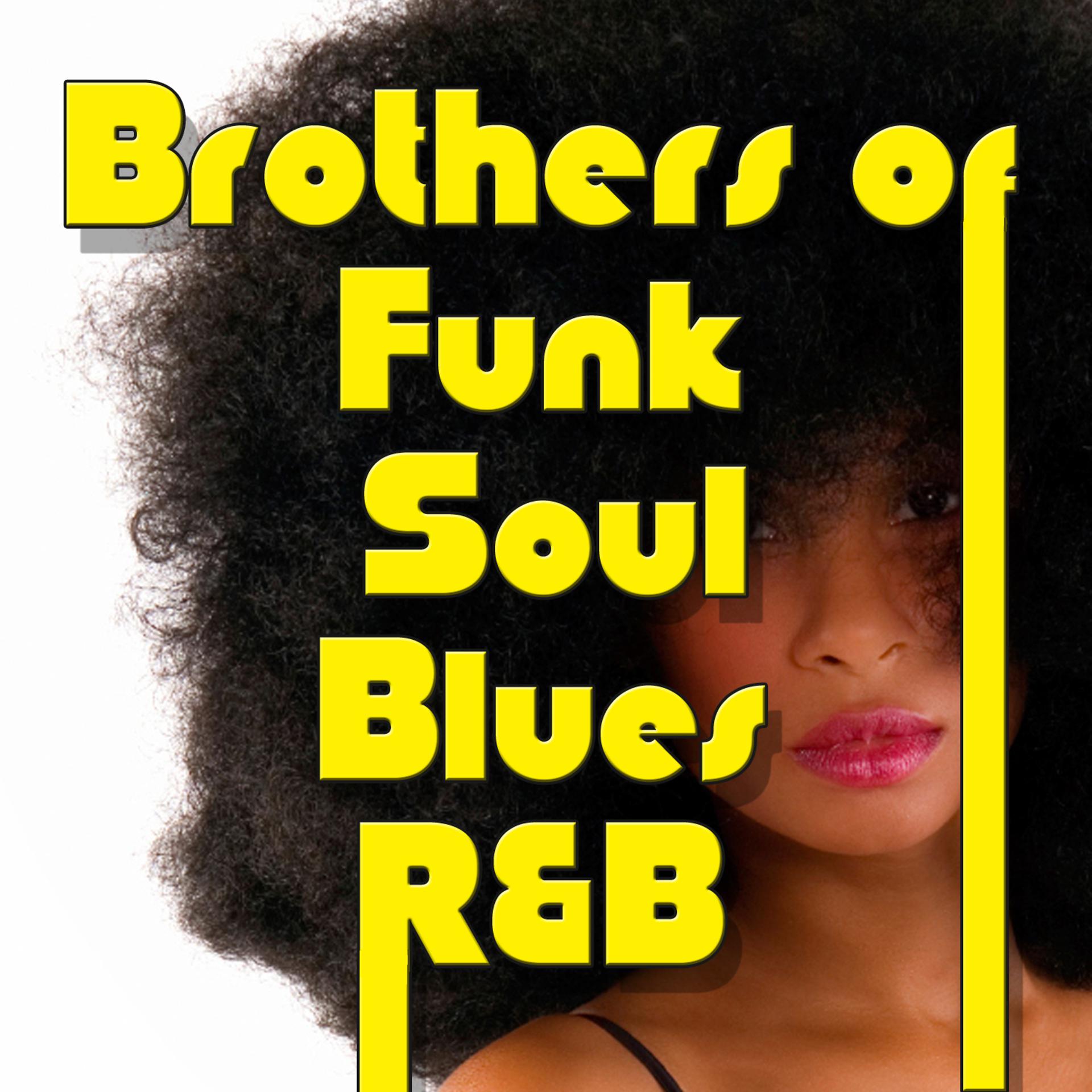Постер альбома Brother of Funk Soul Blues R&B