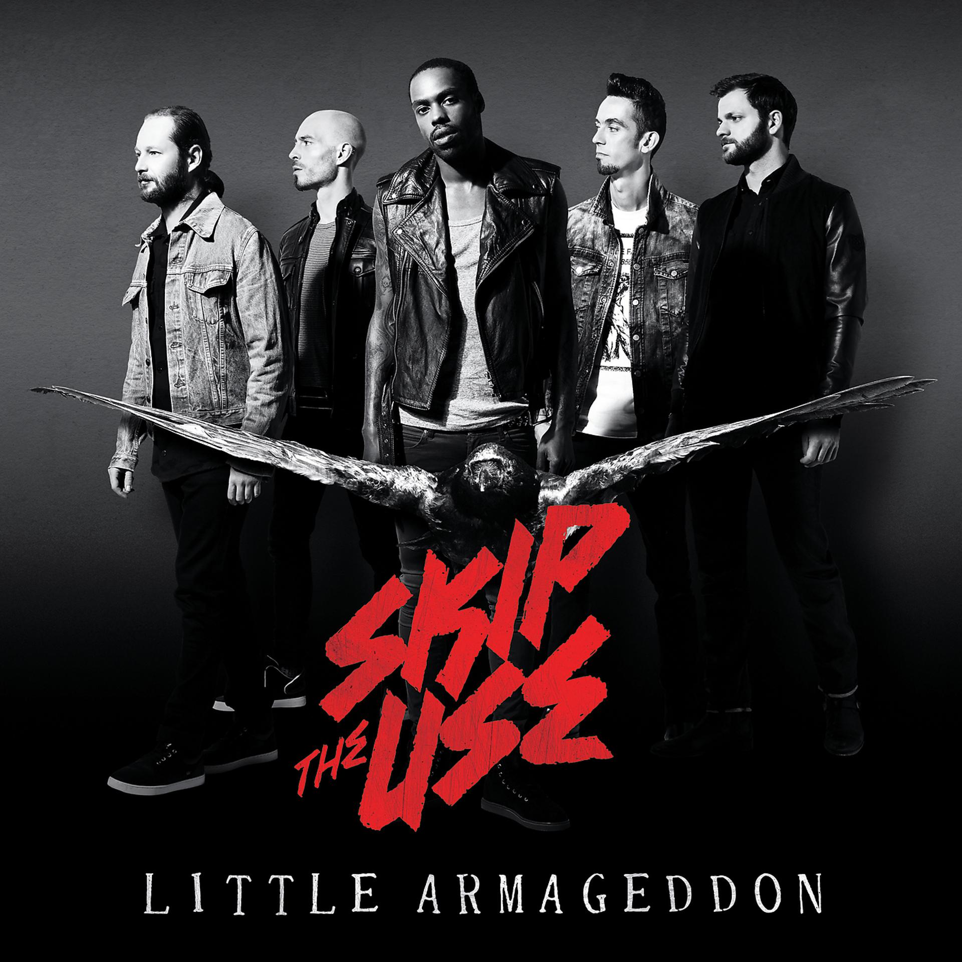 Постер альбома Little Armageddon